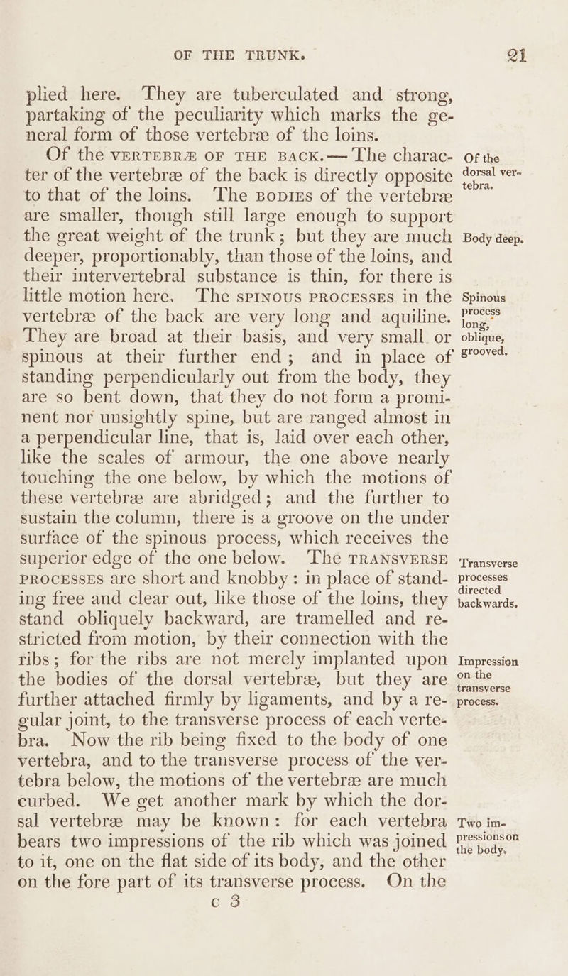plied here. ‘They are tuberculated and strong, partaking of the peculiarity which marks the ge- neral form of those vertebree of the loins. Of the VERTEBRZ OF THE BACK.— The charac- ter of the vertebree of the back is directly opposite to that of the loins. ‘The sopies of the vertebrae are smaller, though still large enough to support the great weight of the trunk; but they are much deeper, proportionably, than those of the loins, and their intervertebral substance is thin, for there is little motion here. ‘The sprnous PRocESSEs in the vertebrae of the back are very long and aquiline. They are broad at their basis, and very small. or spmous at their further end ; standing perpendicularly out from the body, they are so bent down, that they do not form a promi- nent nor unsightly spine, but are ranged almost in a perpendicular line, that is, laid over each other, like the scales of armour, the one above nearly these vertebree are abridged; and the further to sustain the column, there is a groove on the under surface of the spinous process, which receives the superior edge of the one below. ‘The TRANSVERSE PROCESSES are short and knobby: in place of stand- ing free and clear out, like those of the loins, they stand obliquely backward, are tramelled and re- stricted from motion, by their connection with the ribs; for the ribs are not merely implanted upon the bodies of the dorsal vertebrae, but they are further attached firmly by ligaments, and by a re- gular joint, to the transverse process of each verte- bra. Now the rib being fixed to the body of one vertebra, and to the transverse process of the ver- tebra below, the motions of the vertebree are much curbed. We get another mark by which the dor- sal vertebree may be known: for each vertebra bears two impressions of the rib which was joined to it, one on the flat side of its body, and the other on the fore part of its transverse process. On the Ee 3 Of the dorsal ver- tebra. Body deep. Spinous process long, oblique, grooved. Transverse processes directed back wards. Impression on the transverse process. Two im- pressions on the body.