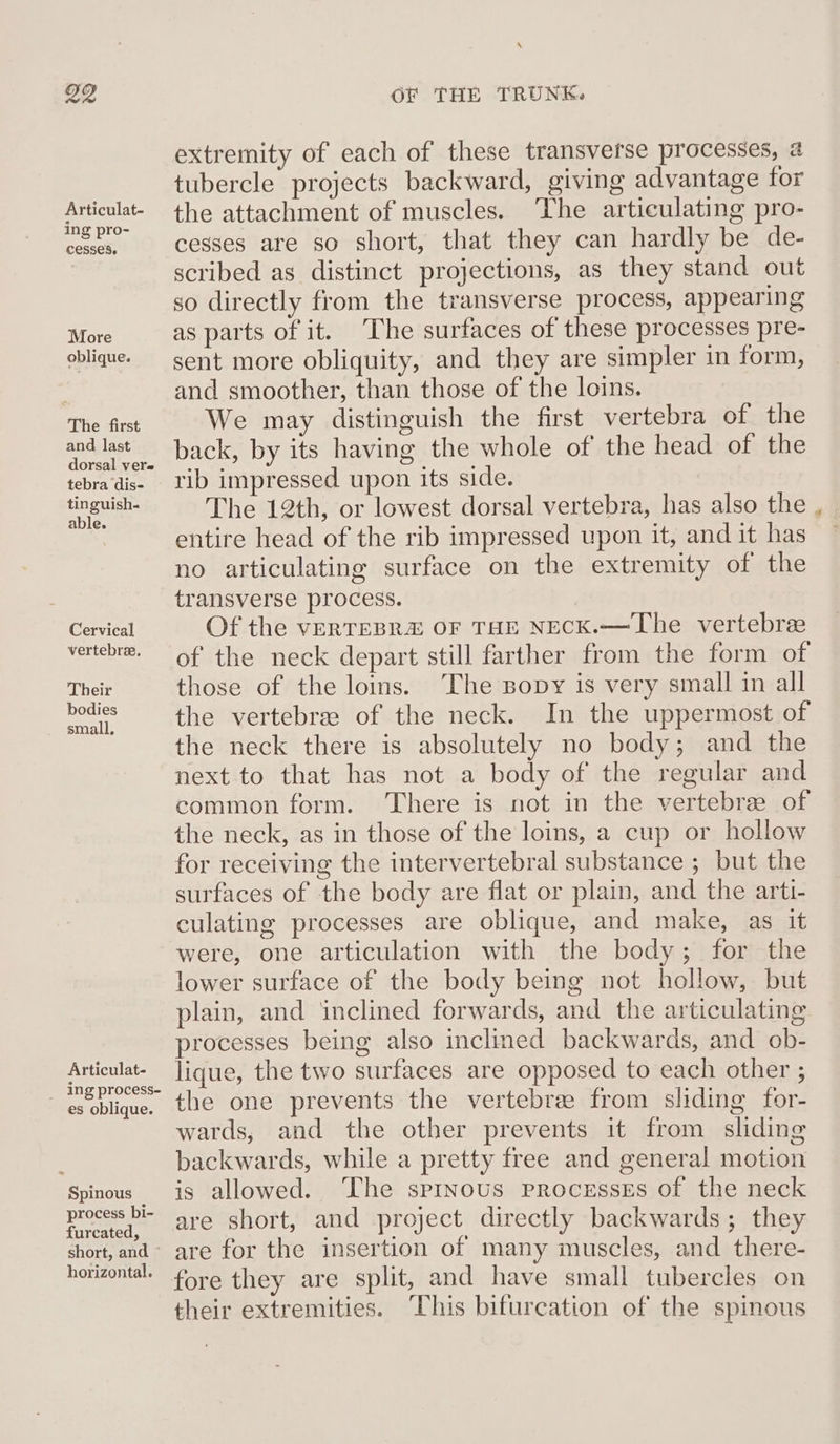Articulat- ing pro- cesses. More oblique. The first and last dorsal vere tebra dis- tinguish- able. Cervical vertebrae, Their bodies small, Articulat- __ ing process- es oblique. Spinous process bi- furcated, short, and ~ horizontal. OF THE TRUNK. extremity of each of these transverse processes, @ tubercle projects backward, giving advantage for the attachment of muscles. ‘The articulating pro- cesses are so short, that they can hardly be de- scribed as distinct projections, as they stand out so directly from the transverse process, appearing as parts of it. The surfaces of these processes pre- sent more obliquity, and they are simpler in form, and smoother, than those of the loins. We may distinguish the first vertebra of the back, by its having the whole of the head of the rib impressed upon its side. The 12th, or lowest dorsal vertebra, has also the entire head of the rib impressed upon it, and it has no articulating surface on the extremity of the transverse process. Of the vVERTEBR&amp; OF THE NECK.—The vertebree of the neck depart still farther from the form of those of the loins. The sopy is very small in all the vertebrae of the neck. In the uppermost of the neck there is absolutely no body; and the next to that has not a body of the regular and common form. There is not in the vertebrae of the neck, as in those of the loins, a cup or hollow for receiving the intervertebral substance ; but the surfaces of the body are flat or plain, and the arti- culating processes are oblique, and make, as it were, one articulation with the body; for the lower surface of the body being not hollow, but plain, and inclined forwards, and the articulating processes being also inclined backwards, and ob- lique, the two surfaces are opposed to each other ; the one prevents the vertebrae from sliding for- wards, and the other prevents it from. sliding backwards, while a pretty free and general motion is allowed. ‘The sprnous processrs of the neck are short, and project directly backwards; they are for the insertion of many muscles, and there- fore they are split, and have small tubercles on their extremities. ‘This bifurcation of the spinous