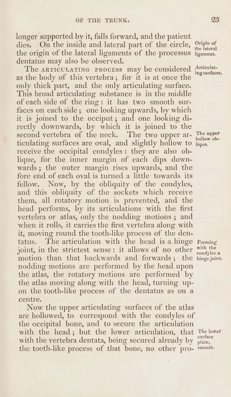 longer supported by it, falls forward, and the patient dies. On the inside and lateral part of the circle, the origin of the lateral ligaments of the processus dentatus may also be observed. The ARTICULATING PROCESS may be considered as the body of this vertebra; for it is at once the only thick part, and the only articulating surface. This broad articulating substance is in the middle of each side of the ring: it has two smooth sur- faces on each side; one looking upwards, by which it is joined to the occiput; and one looking di- rectly downwards, by which it is joined to the second vertebra of the neck. The two upper ar- ticulating surfaces are oval, and slightly holiow to receive the occipital condyles: they are also ob- lique, for the inner margin of each dips down- wards; the outer margin rises upwards, and the fore end of each oval is turned a little towards its fellow. Now, by the obliquity of the condyles, and this obliquity of the sockets which receive them, all rotatory motion is prevented, and the head performs, by its articulations with the first vertebra or atlas, only the nodding motions ; and when it rolls, it carries the first vertebra along with it, moving round the tooth-like process of the den- tatus. The articulation with the head is a hinge joint, in the strictest sense: it allows of no other motion than that backwards and forwards; the nodding motions are performed by the head upon the atlas, the rotatory motions are performed by the atlas moving along with the head, turning up- on the tooth-like process of the dentatus as on a centre. Now the upper articulating surfaces of the atlas the occipital bone, and to secure the articulation with the head; but the lower articulation, that with the vertebra dentata, being secured already by the tooth-like process of that bone, no other pro- Origin of the lateral ligament. Articulat- ing surfaces. The apper hollow ob- hque. Forming with the condyles a hinge join, The lowes surface plain, smooth.