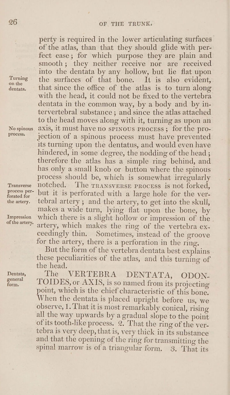 perty is required in the lower articulating surfaces of the atlas, than that they should glide with per- fect ease; for which purpose they are plain and smooth; they neither receive nor are received = into the dentata by any hollow, but lie flat upon Tuning the surfaces of that bone. It is also evident, dentata, that since the office of the atlas is to turn along with the head, it could not be fixed to the vertebra dentata in the common way, by a body and by in- tervertebral substance ; and since the atlas attached to the head moves along with it, turning as upon an No spinous AXi8, it must have no spinous Process; for the pro- process jection of a spinous process must have prevented its turning upon the dentatus, and would even have hindered, in some degree, the nodding of the head ; therefore the atlas has a simple ring behind, and has only a small knob or button where the spinous process should be, which is somewhat irregularly Transverse Notched. ‘The rransversE process is not forked, Prted br DUt it is perforated with a large hole for the ver- the artery. tebral artery ; and the artery, to get into the skull, makes a wide turn, lying flat upon the bone, by Impression Which there is a slight hollow or impression of the oftheartety artery, which makes the ring of the vertebra ex- ceedingly thin. Sometimes, instead of the groove for the artery, there is a perforation in the ring. But the form of the vertebra dentata best explains these peculiarities of the atlas, and this turning of the head. Dentata, The VERTEBRA DENTATA, ODON. ots TOIDES, or AXIS, is so named from its projecting point, which is the chief characteristic of this bone. When the dentata is placed upright before us, we observe, 1. That it is most remarkably conical, rising all the way upwards by a gradual slope to the point of its tooth-like process. 2, That the ring of the ver- tebra is very deep, that is, very thick in its substance and that the opening of the ring for transmitting the spinal marrow is ofa triangular form. 3. That its