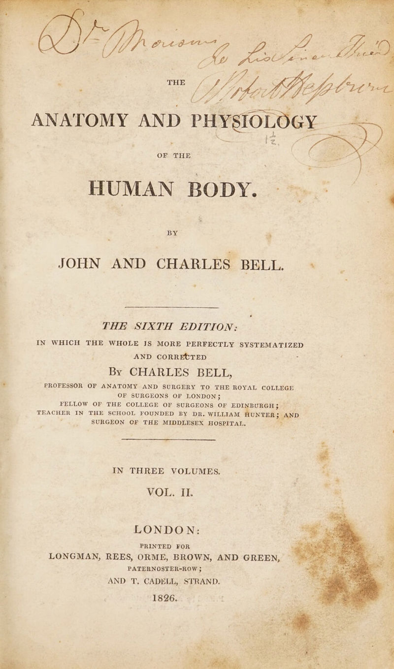 + + y HUMAN BODY. -*.° | — BY THE SIXTH EDITION: IN WHICH THE WHOLE IS MORE PERFECTLY SYSTEMATIZED AND CORRECTED ‘ ; By CHARLES BELL, . PROFESSOR OF ANATOMY AND SURGERY TO THE ROYAL COLLEGE OF SURGEONS OF LONDON; FELLOW OF THE COLLEGE OF SURGEONS On EDINBURGH; — TEACHER IN THE SCHOOL FOUNDED BY DR. WILLIAM HUNTER} AND , SURGEON CF THE MIDDLESEX HOSPITAL. IN THREE VOLUMES. VOL. IL | is LONDON: PRINTED FOR LONGMAN, REES, ORME, BROWN, AND GREEN, PATERNOSTER-ROW ; AND T, CADELL, STRAND. 1826.