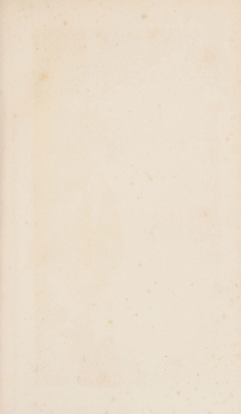 —- ba va at— Ld 7 ~ - pie (ea a o