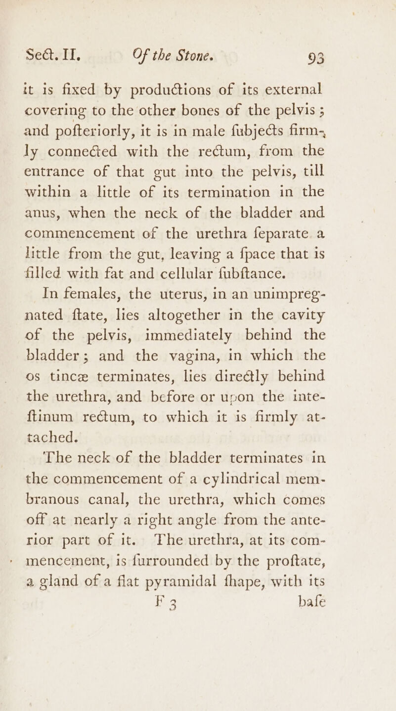 it is fixed by productions of its external covering to the other bones of the pelvis ; and pofteriorly, it is in male fubjects firm-, ly connected with the rectum, from the entrance of that cut into the pelvis, till within a little of its termination in the anus, when the neck of the bladder and commencement of the urethra feparate a little from the gut, leaving a fpace that is filled with fat and cellular fubftance. In females, the uterus, in an unimpreg- nated ftate, lies altogether in the cavity of the pelvis, immediately behind the bladder; and the vagina, in which the os tincz terminates, lies direétly behind the urethra, and before or upon the inte- {tinum rectum, to which it is firmly at- tached. The neck of the bladder terminates in the commencement of a cylindrical mem- branous canal, the urethra, which comes off at nearly a right angle from the ante- rior part of it. The urethra, at its com- mencement, is furrounded by the proftate, a gland of a flat pyramidal fhape, with its aes bafe