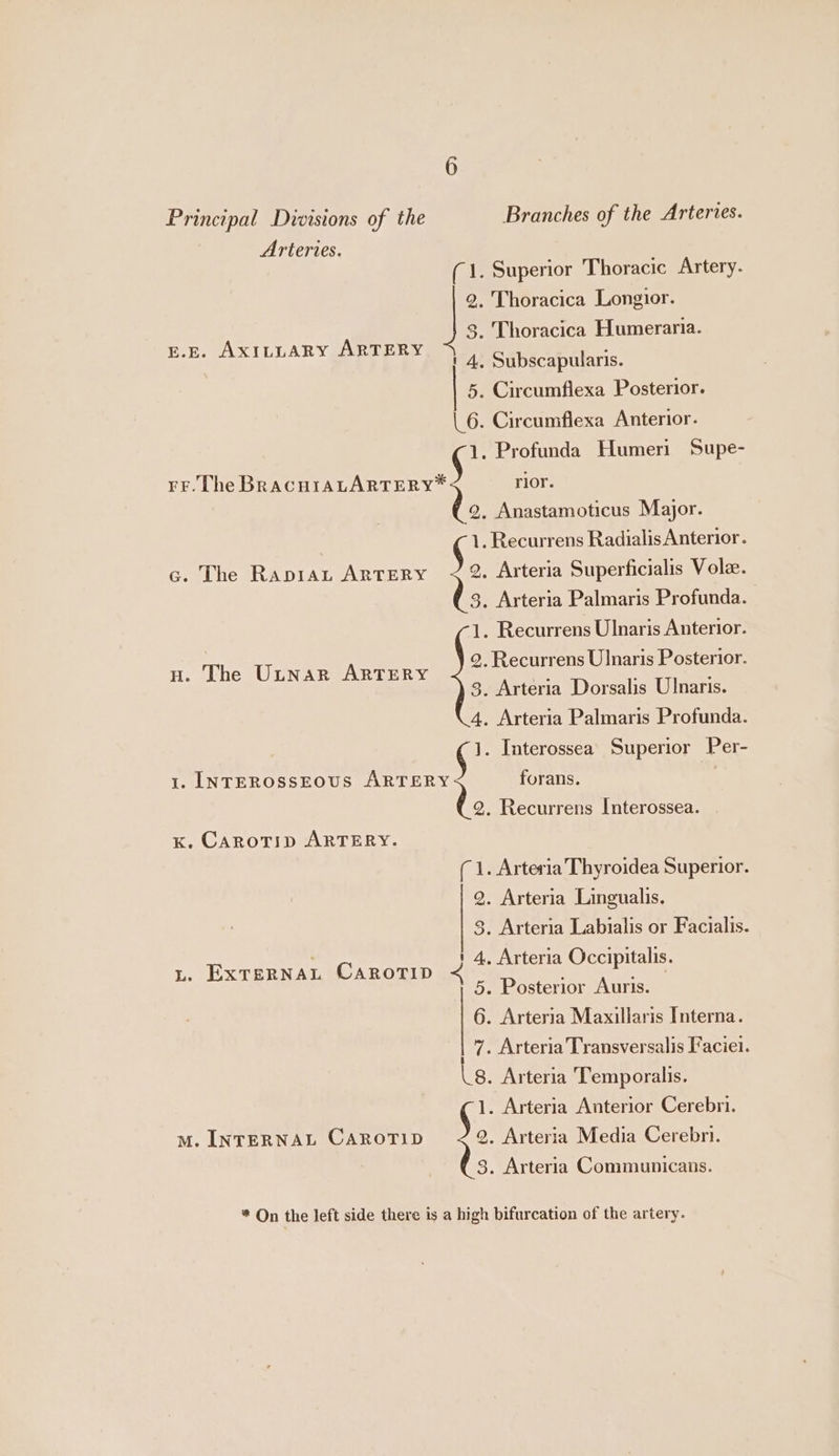 Arteries. (1. Superior Thoracic Artery. 2. Thoracica Longior. 3. Thoracica Humeraria. E.E. AXILLARY ARTERY | 4, Subscapularis. 5. Circumflexa Posterior. |. 6. Circumflexa Anterior. 1. Profunda Humeri Supe- FF. The Bescniatdnrnn) rior. 9, Anastamoticus Major. 1. Recurrens Radialis Anterior. % Arteria Superficialis Vole. 3, Arteria Palmaris Profunda. 1. Recurrens Ulnaris Anterior. n. The Ubnar ARTERY jstearsoramee” c. The RapiaL ARTERY 3. Arteria Dorsalis Ulnaris. 4, Arteria Palmaris Profunda. 1. Interossea’ Superior Per- 1. LNTEROSSEOUS sas} forans. 2. Recurrens Interossea. x. CarotTip ARTERY. (1. Arteria Thyroidea Superior. 2. Arteria Lingualis. 3. Arteria Labialis or Facialis. 4, Arteria Occipitalis. 5. Posterior Auris. — 6. Arteria Maxillaris Interna. 7. Arteria Transversalis Faciel. ‘ 1] L. EXTeRNAL CAROTID &lt; Lg. Arteria Temporalis. 1. Arteria Anterior Cerebri. M. INTERNAL CAROTID 9. Arteria Media Cerebri. (3. Arteria Communicans. * On the left side there is a high bifurcation of the artery.