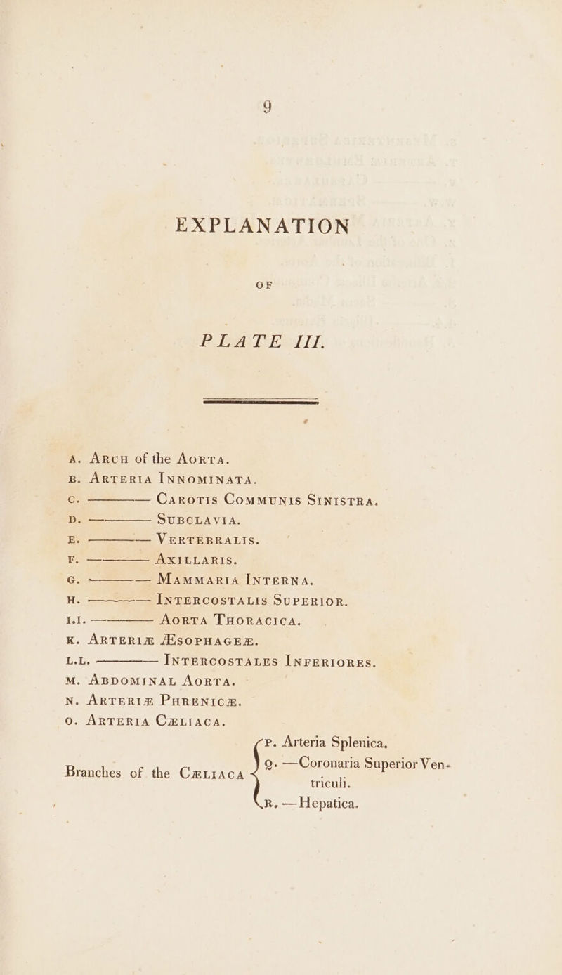 EXPLANATION OF PLATE UL A. ARcH of the AoRTA. Bb. ARTERIA INNOMINATA. c. ————-— Carortis ComMunNI!s SINISTRA. D. —————. SUBCLAVIA. E. ————— VERTEBRALIS. F. —————_ AXILLARIS. G. ~———— Mammaria INTERNA. H. ————_—. INTERCOSTALIS SUPERIOR. 1... ————— Aorta THORACICA. kK. ARTERIZ ALSOPHAGER. L.L. ————— INTERCOSTALES INFERIORES. M. ABDOMINAL AORTA. N. ARTERIZ PHRENICRE. Oo. ARTERIA CELIACA. p. Arteria Splenica. Branches of the Cxuraca ~~ ae Bezabaas vet tricull. R. — Hepatica.