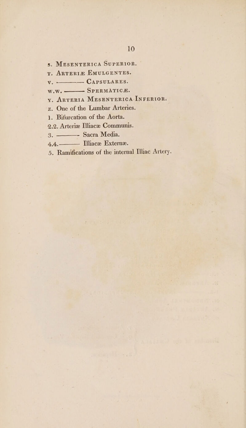 s. MESENTERICA SUPERIOR. vy. ARTERIZ EMULGENTES. Vv. ——_—__— CAPSULARES. W.W. SPERMATICE. y. ArrertA MESENTERICA INFERIOR. z. One of the Lumbar Arteries. 1. Bifurcation of the Aorta. 9.2, Arteriz [liacze Communis. 3. ————- Sacra Media. 4.4. Illiace Externe. 5. Ramifications of the internal Ilhac Artery.