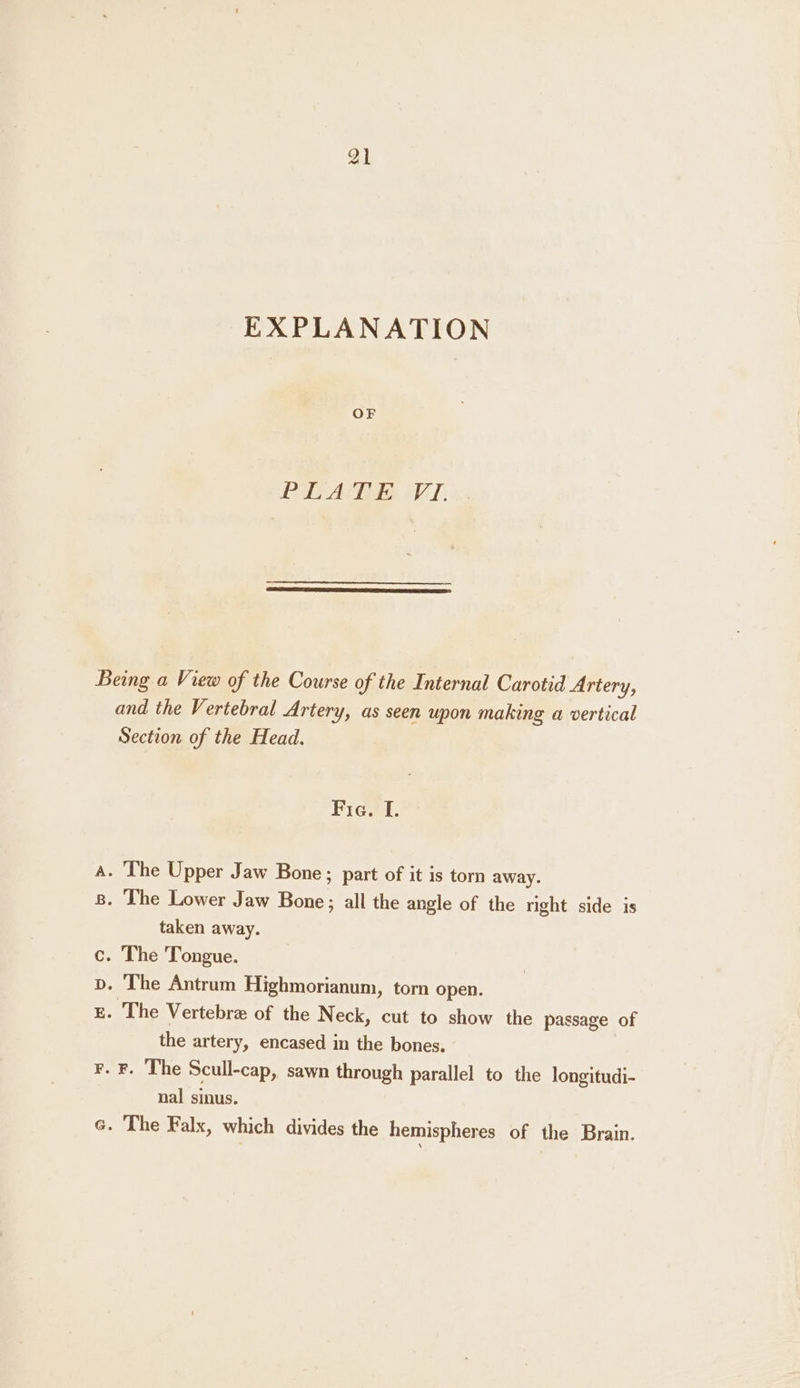 EXPLANATION OF PT ATE VL, &amp;:; Being a View of the Course of the Internal Carotid Artery, and the Vertebral Artery, as seen upon making a vertical Section of the Head. Fig. I. &gt; . The Upper Jaw Bone; part of it is torn away. B. The Lower Jaw Bone; all the angle of the right side is taken away. c. The Tongue. . The Antrum Highmorianum, torn open. E. The Vertebre of the Neck, cut to show the passage of the artery, encased in the bones. - F. The Scull-cap, sawn through parallel to the longitudi- nal sinus. G. The Falx, which divides the hemispheres of the Brain. o se]