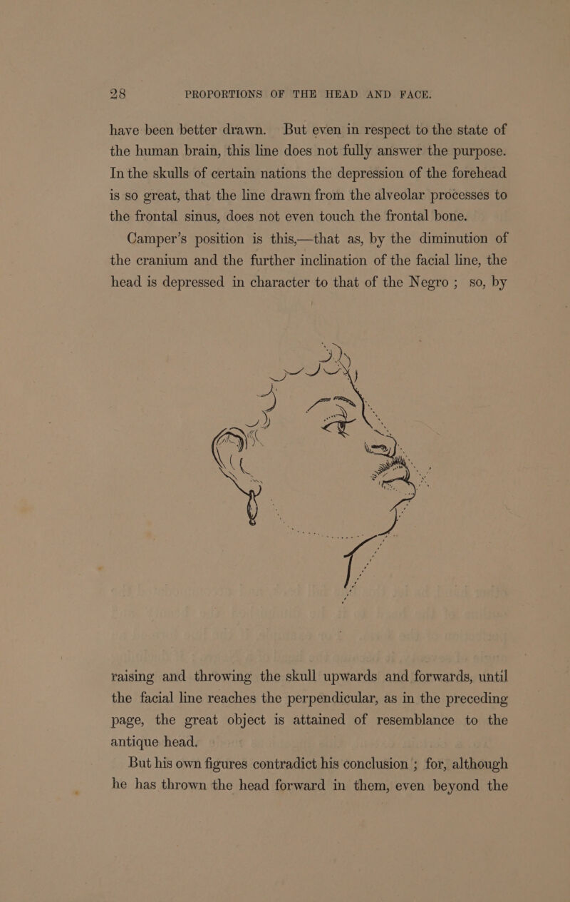 have been better drawn. But even in respect to the state of the human brain, this line does not fully answer the purpose. In the skulls of certain nations the depression of the forehead is so great, that the lme drawn from the alveolar processes to the frontal sinus, does not even touch the frontal bone. Camper’s position is this,—that as, by the diminution of the cranium and the further inclination of the facial line, the head is depressed in character to that of the Negro; so, by 5) 5 raising and throwing the skull upwards and forwards, until the facial line reaches the perpendicular, as m the preceding page, the great object is attained of resemblance to the antique head. But his own figures contradict his conclusion ; for, although he has thrown the head forward in them, even beyond the