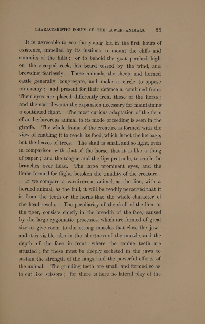 It is agreeable to see the young kid in the first hours of existence, impelled by its instincts to mount the cliffs and summits of the hills; or to behold the goat perched high on the scarped rock, his beard tossed by the wind, and browsing fearlessly. These animals, the sheep, and horned cattle generally, congregate, and make a circle to oppose an enemy ; and present for their defence a combined front. Their eyes are placed differently from those of the horse ; and the nostril wants the expansion necessary for maintaining a continued flight. The most curious adaptation of the form of an herbivorous animal to its mode of feeding is seen in the giraffe. The whole frame of the creature is formed with the view of enabling it to reach its food, which is not the herbage, but the leaves of trees. The skull is small, and so light, even in comparison with that of the horse, that it is like a thing of paper ; and the tongue and the lips protrude, to catch the branches over head. The large prominent eyes, and the limbs formed for flight, betoken the timidity of the creature. If we compare a carnivorous animal, as the lion, with a horned animal, as the bull, it will be readily perceived that it is from the teeth or the horns that the whole character of the head results. The peculiarity of the skull of the lion, or the tiger, consists chiefly in the breadth of the face, caused by the large zygomatic processes, which are formed of great size to give room to the strong muscles that close the jaw : and it is visible also in the shortness of the muzzle, and the depth of the face in front, where the canine teeth are situated ; for these must be deeply socketed in the jaws to sustain the strength of the fangs, and the powerful efforts of the animal. The grinding teeth are small, and formed so as to cut like scissors ; for there is here no lateral play of the