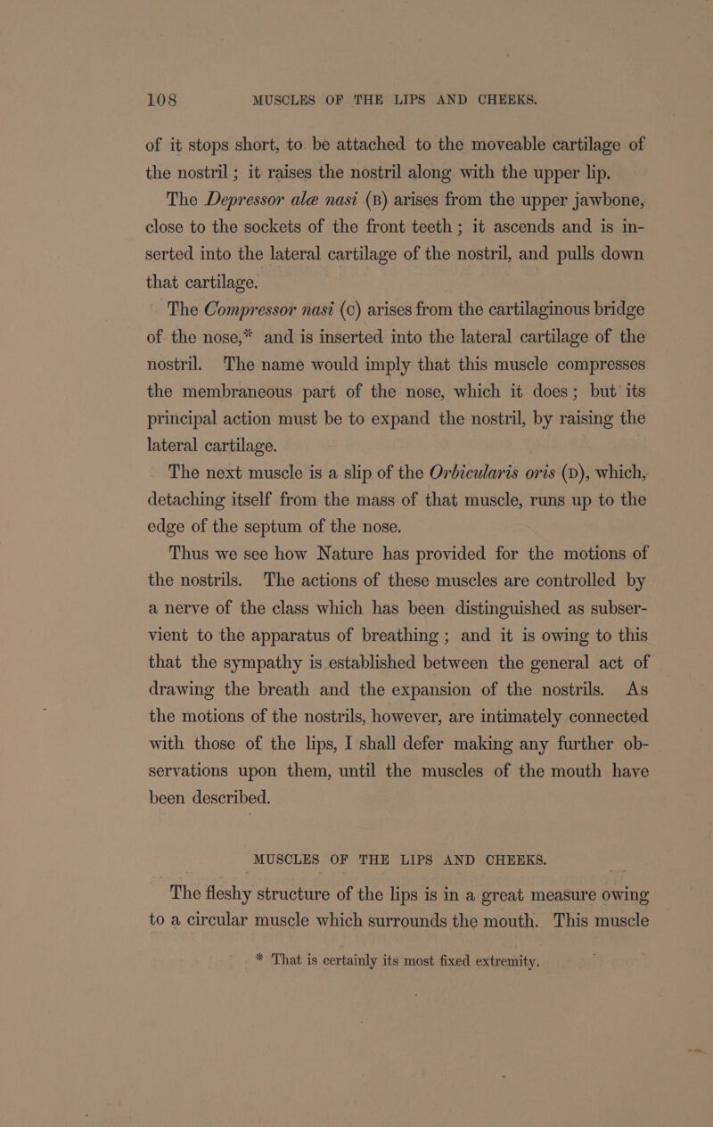 of it stops short, to be attached to the moveable cartilage of the nostril; it raises the nostril along with the upper lip. The Depressor ale nasi (B) arises from the upper jawbone, close to the sockets of the front teeth ; it ascends and is in- serted into the lateral cartilage of the nostril, and pulls down that cartilage. The Compressor nasi (0) arises from the cartilaginous bridge of the nose,* and is inserted into the lateral cartilage of the nostril. The name would imply that this muscle compresses the membraneous part of the nose, which it does; but its principal action must be to expand the nostril, by raising the lateral cartilage. The next muscle is a slip of the Orbicularis oris (D), which, detaching itself from the mass of that muscle, runs up to the edge of the septum of the nose. Thus we see how Nature has provided for the motions of the nostrils. The actions of these muscles are controlled by a nerve of the class which has been. distinguished as subser- vient to the apparatus of breathing ; and it is owing to this that the sympathy is established between the general act of drawing the breath and the expansion of the nostrils. As the motions of the nostrils, however, are intimately connected with those of the lips, I shall defer making any further ob- servations upon them, until the muscles of the mouth have been described. MUSCLES OF THE LIPS AND CHEEKS. The fleshy structure of the lips is in a great measure owing to a circular muscle which surrounds the mouth. This muscle * That is certainly its most fixed extremity.