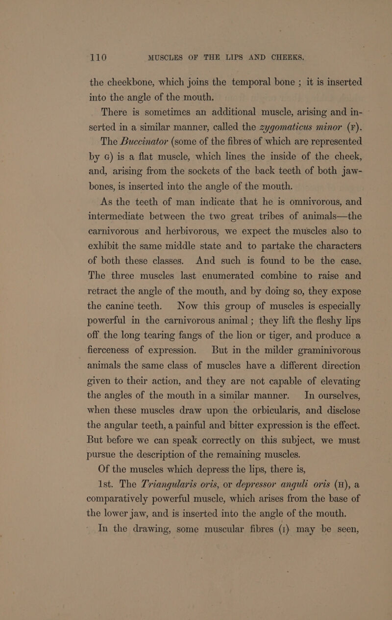 the cheekbone, which joins the temporal bone ; it is inserted into the angle of the mouth. There is sometimes an additional muscle, arising and in- ~ serted in a similar manner, called the zygomaticus minor (F). The Buccinator (some of the fibres of which are represented by @) is a flat muscle, which lines the inside of the cheek, and, arising from the sockets of the back teeth of both jaw- bones, is inserted into the angle of the mouth. As the teeth of man indicate that he is omnivorous, and intermediate between the two great tribes of animals—the carnivorous and herbivorous, we expect the muscles also to exhibit the same middle state and to partake the characters of both these classes. And such is found to be the case. The three muscles last enumerated combine to raise and retract the angle of the mouth, and by doing so, they expose the canine teeth. Now this group of muscles is especially powerful in the carnivorous animal ; they lift the fleshy lips off the long tearing fangs of the lion or tiger, and produce a fierceness of expression. But in the milder graminivorous animals the same class of muscles have a different direction given to their action, and they are not capable of elevating the angles of the mouth in a similar manner. _In ourselves, when these muscles draw upon the orbicularis, and disclose the angular teeth, a painful and bitter expression is the effect. But before we can speak correctly on this subject, we must pursue the description of the remaining muscles. Of the muscles which depress the lips, there is, Ist. The Trzangularts oris, or depressor anguli oris (H), a comparatively powerful muscle, which arises from the base of the lower jaw, and is inserted into the angle of the mouth. In the drawing, some muscular fibres (1) may be seen,