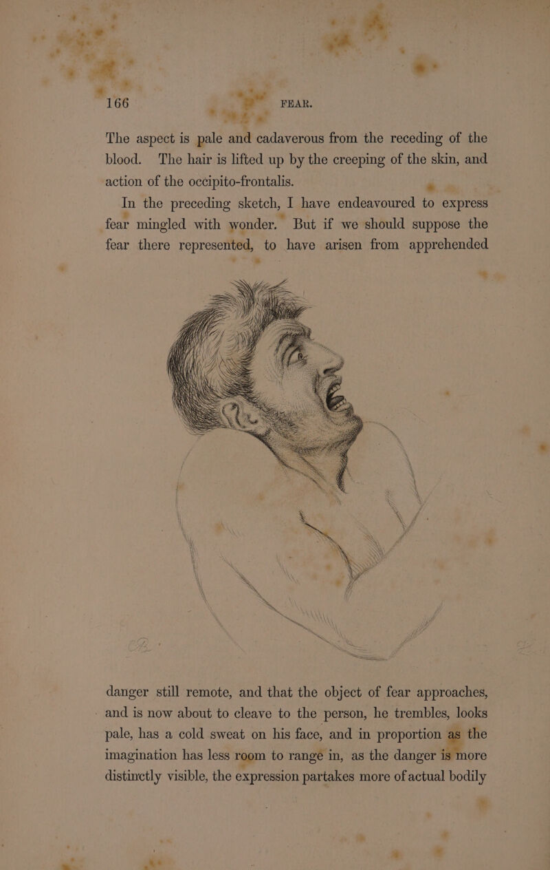 ,* sie 4? od - ¥ - . * * ~£y° | oe » 7 166 ‘ PHAR. The aspect is pale and cadaverous from the receding of the blood. The hair is lifted up by the creeping of the skin, and action of the occipito-frontalis. i In the preceding sketch, I have endeavoured to express fear mingled with wonder. But if we should suppose the fear there represented, to have arisen from apprehended * . danger still remote, and that the object of fear approaches, pale, has a cold sweat on his face, and in proportion a imagination has less room to range in, as the danger is more distinctly visible, the expression partakes more of actual bodily ey