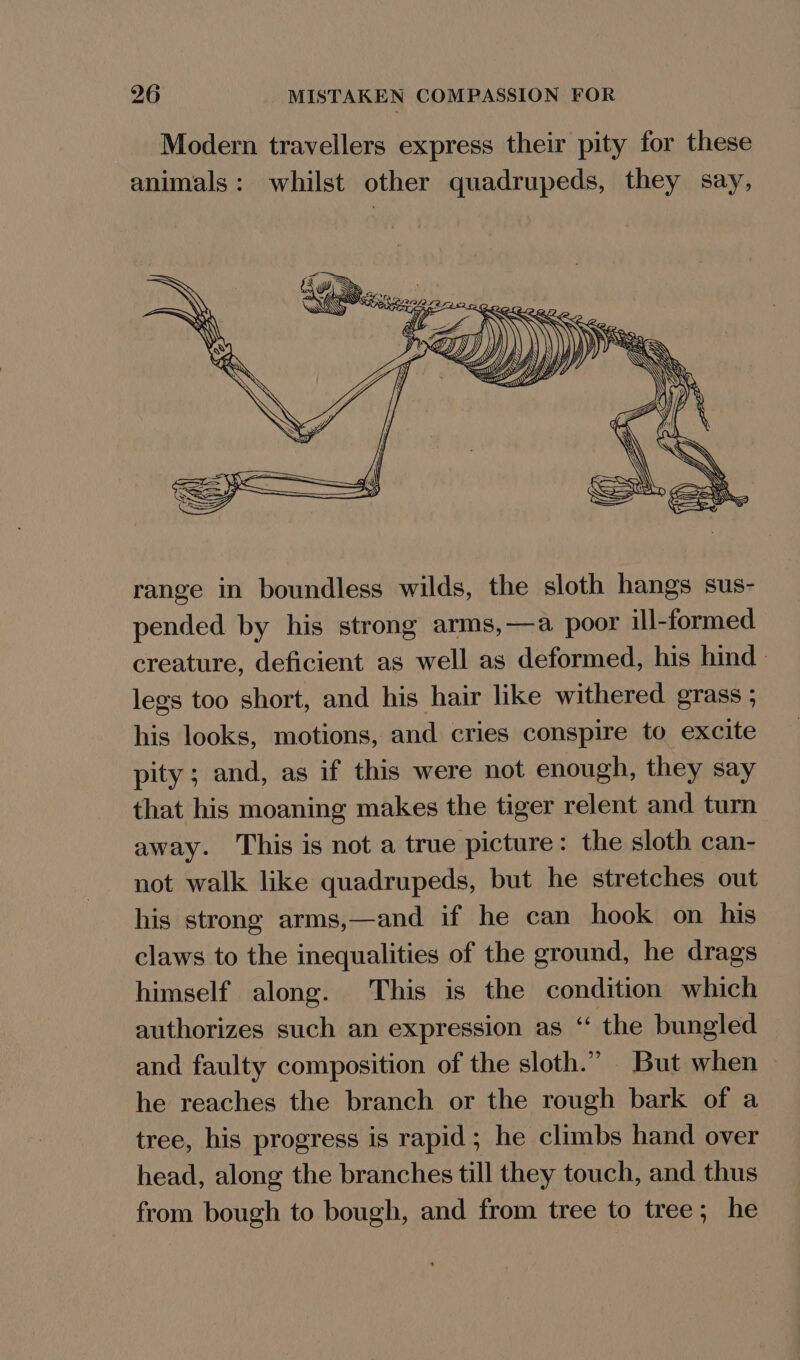 Modern travellers express their pity for these animals: whilst other quadrupeds, they say, range in boundless wilds, the sloth hangs sus- pended by his strong arms,—a poor ill-formed creature, deficient as well as deformed, his hind legs too short, and his hair like withered grass ; his looks, motions, and cries conspire to excite pity ; and, as if this were not enough, they say that his moaning makes the tiger relent and turn away. This is not a true picture: the sloth can- not walk like quadrupeds, but he stretches out his strong arms,—and if he can hook on his claws to the inequalities of the ground, he drags himself along. This is the condition which authorizes such an expression as “ the bungled and faulty composition of the sloth.” But when he reaches the branch or the rough bark of a tree, his progress is rapid ; he climbs hand over head, along the branches till they touch, and thus from bough to bough, and from tree to tree; he