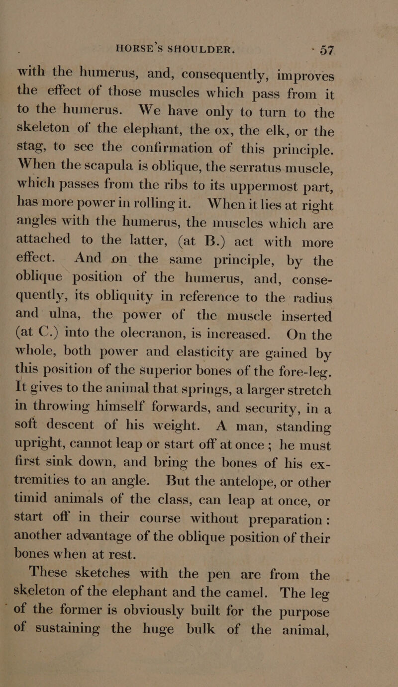 with the humerus, and, consequently, improves the effect of those muscles which pass from it to the humerus. We have only to turn to the skeleton of the elephant, the ox, the elk, or the stag, to see the confirmation of this principle. When the scapula is oblique, the serratus muscle, which passes from the ribs to its uppermost part, has more power in rolling it. When it lies at right angles with the humerus, the muscles which are attached to the latter, (at B.) act with more effect. And on the same _ principle, by the oblique position of the humerus, and, conse- quently, its obliquity in reference to the radius and ulna, the power of the muscle inserted (at C.) into the olecranon, is increased. On the whole, both power and elasticity are gained by this position of the superior bones of the fore- -leg. It gives to the animal that springs, a larger stretch in throwing himself forwards, and security, in a soft descent of his weight. A man, standing upright, cannot leap or start off at once ; he must first sink down, and bring the bones of his ex- tremities to an angle. But the antelope, or other timid animals of the class, can leap at once, or Start off in their course without preparation : another advantage of the oblique position of their bones when at rest. These sketches with the pen are from the skeleton of the elephant and the camel. The leg of the former is obviously built for the purpose of sustaining the huge bulk of the animal,