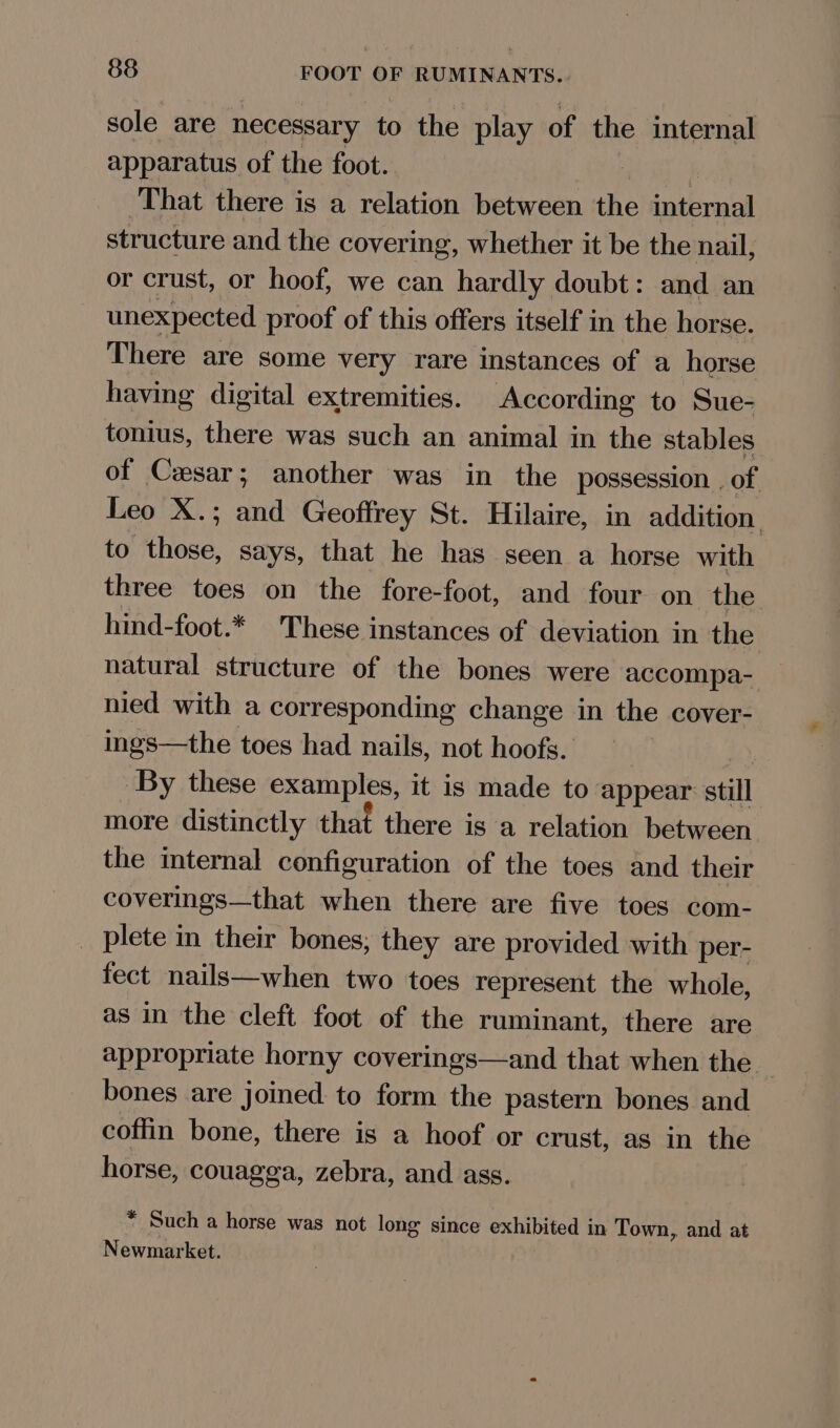 sole are necessary to the play of the internal apparatus of the foot. | That there is a relation between the internal structure and the covering, whether it be the nail, or crust, or hoof, we can hardly doubt: and an unexpected proof of this offers itself in the horse. There are some very rare instances of a horse having digital extremities. According to Sue- tonius, there was such an animal in the stables of Cesar; another was in the possession. of Leo X.; and Geoffrey St. Hilaire, in addition | to those, says, that he has seen a horse with three toes on the fore-foot, and four on the hind-foot.* These instances of deviation in the natural structure of the bones were accompa- nied with a corresponding change in the cover- ings—the toes had nails, not hoofs. By these examples, it is made to appear still more distinctly that there is a relation between the internal configuration of the toes and their coverings—that when there are five toes com- _ plete in their bones, they are provided with per- fect nails—when two toes represent the whole, as in the cleft foot of the ruminant, there are appropriate horny coverings—and that when the bones are joined to form the pastern bones and coffin bone, there is a hoof or crust, as in the horse, couagga, zebra, and ass. * Such a horse was not long since exhibited in Town, and at Newmarket.