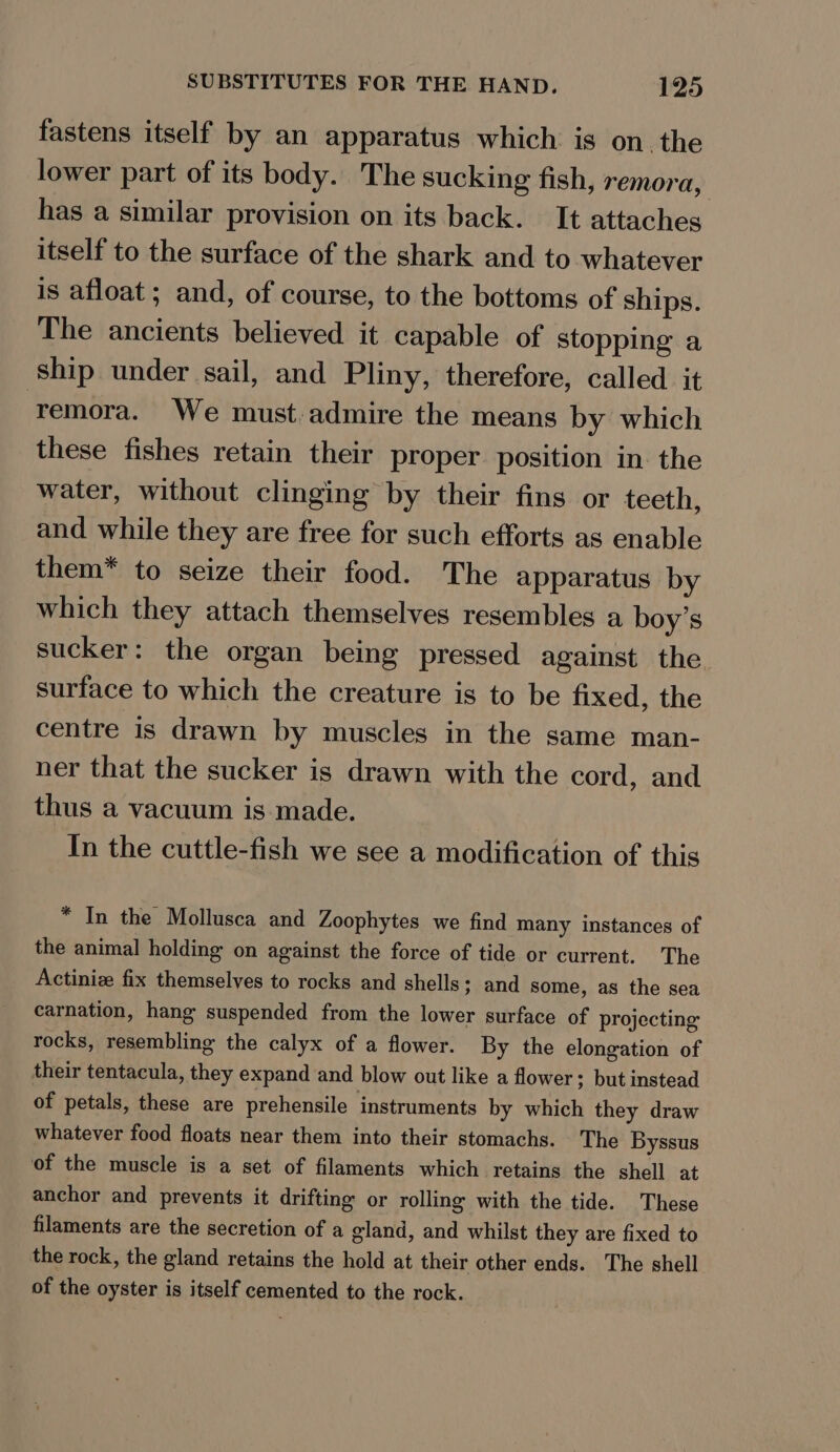 fastens itself by an apparatus which is on the lower part of its body. The sucking fish, remora, has a similar provision on its back. It attaches itself to the surface of the shark and to whatever is afloat ; and, of course, to the bottoms of ships. The ancients believed it capable of stopping a ship under sail, and Pliny, therefore, called it remora. We must admire the means by which these fishes retain their proper position in. the water, without clinging by their fins or teeth, and while they are free for such efforts as enable them* to seize their food. The apparatus by which they attach themselves resembles a boy’s sucker: the organ being pressed against the surface to which the creature is to be fixed, the centre is drawn by muscles in the same man- ner that the sucker is drawn with the cord, and thus a vacuum is made. In the cuttle-fish we see a modification of this * In the Mollusca and Zoophytes we find many instances of the animal holding on against the force of tide or current. The Actiniz fix themselves to rocks and shells; and some, as the sea carnation, hang suspended from the lower surface of projecting rocks, resembling the calyx of a flower. By the elongation of their tentacula, they expand and blow out like a flower; but instead of petals, these are prehensile instruments by which they draw whatever food floats near them into their stomachs. The Byssus of the muscle is a set of filaments which retains the shell at anchor and prevents it drifting or rolling with the tide. These filaments are the secretion of a gland, and whilst they are fixed to the rock, the gland retains the hold at their other ends. The shell of the oyster is itself cemented to the rock.