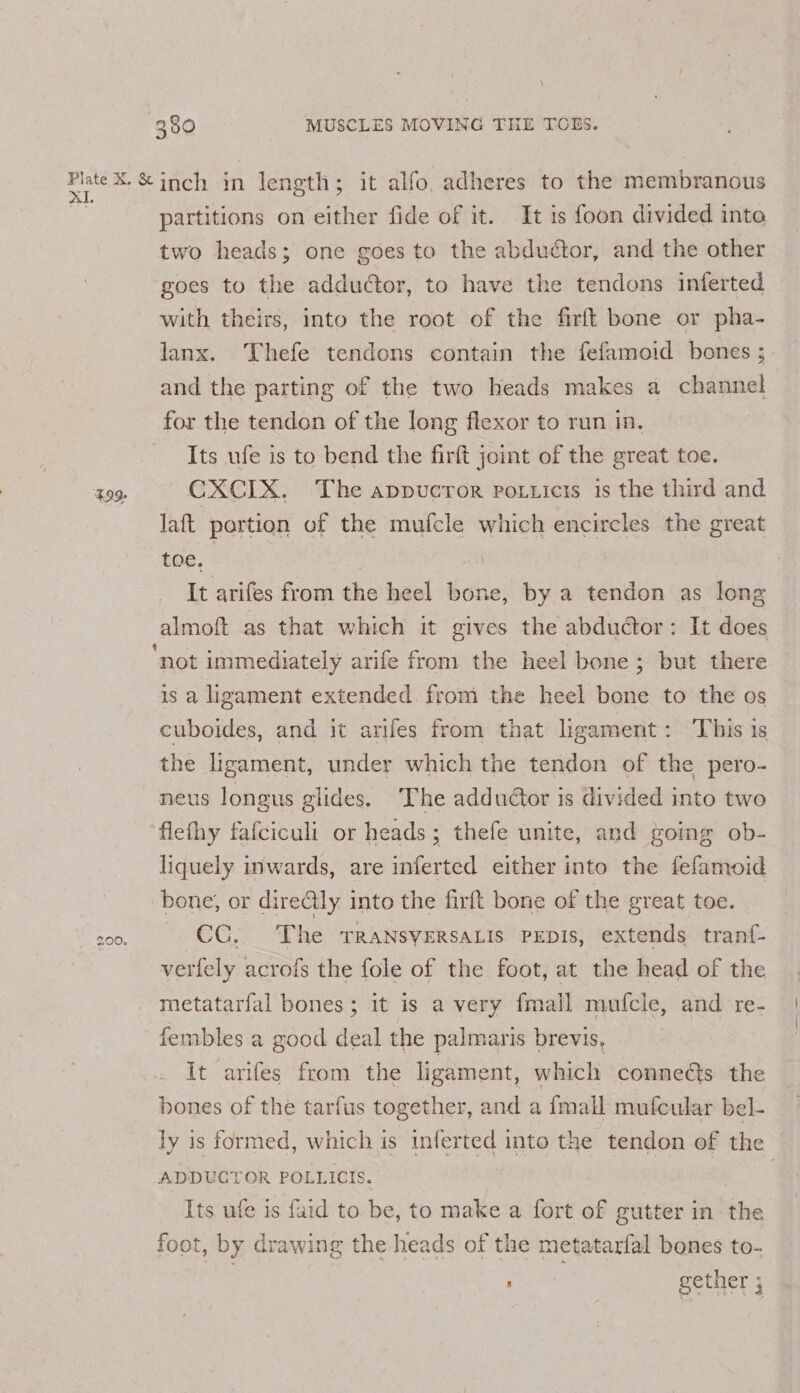 \ 380 MUSCLES MOVING THE TCES. ‘799. 200. partitions on either fide of it. It is {oon divided into two heads; one goes to the abductor, and the other goes to the adductor, to have the tendons inferted with theirs, into the root of the firft bone or pha- lanx. Thefe tendons contain the fefamoid bones ; and the parting of the two heads makes a channel for the tendon of the long flexor to run in. Its ufe is to bend the firft joint of the great toe. ~CXCIX. The appucror potuicts is the third and laft portion of the mufcle which encircles the great toe. | | It arifes from the heel bone, by a tendon as long almoft as that which it gives the abductor: It does is a ligament extended from the heel bone to the os cuboides, and it arifes from that ligament: This is the ligament, under which the tendon of the pero- neus longus glides. The adduétor is divided into two liquely inwards, are inferted either into the fefamoid bone, or directly into the firft bone of the great toe. CC. The TRANSVERSALIS PEDIs, extends tranf- verfely acrofs the fole of the foot, at the head of the fembles a good deal the palmaris brevis, It arifes from the ligament, which connedts the bones of the tarfus together, and a {mall mufcular bel- ly is formed, which is inferted into the tendon of the ADDUCTOR POLLICIS. Its ufe is fuid to be, to make a fort of gutter in the foot, by drawing the heads of the metatarfal bones to- | mee gether ;