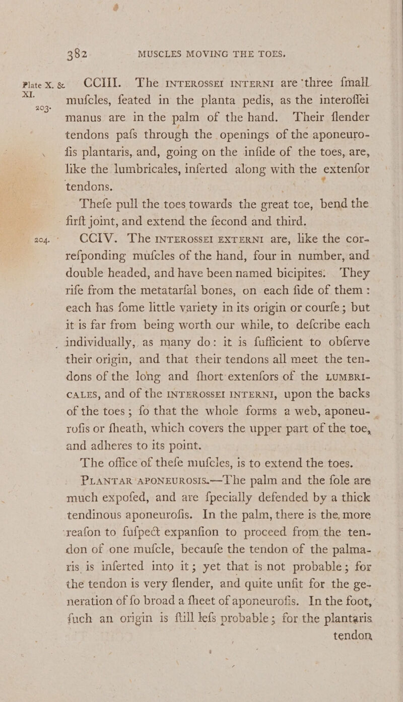 AI. mufcles, feated in the planta pedis, as the interoflel manus are inthe palm of the hand. Their flender tendons pats through the openings of the aponeuro- fis plantaris, and, going on the infide of the toes, are, like the lumbricales, inferted along with the extenfor tendons. on E Thefe pull the toes towards the great toe, bend the CCIV. The INTEROSSEI EXTERNI are, like the cor- refponding mufcles of the hand, four in number, and double headed, and have been named bicipites: They rife from the metatarfal bones, on each fide of them: each has fome little variety in its origin or courfe; but it is far from being worth our while, to defcribe each their origin, and that their tendons all meet the ten- dons of the long and fhort’extenfors of the LuMBRI- caLes, and of the INTEROSSEI INTERNI, upon the backs of the toes; fo that the whole forms a web, aponeu- rofis or fheath, which covers the upper part of the toe, and adheres to its point. The office of thefe mufcles, is to extend the toes. PLANTAR ‘APONEUROSIS.—The palm and the fole are much expofed, and are {pecially defended by a thick tendinous aponeurofis. In the palm, there is the, more don of one mufcle, becaufe the tendon of the palma- ris is inferted into it; yet that is not probable; for the tendon is very flender, and quite unfit for the ge- neration of fo broad a fheet of aponeurofis. In the foot, fuch an origin is full lefs probable; for the plantaris tendon,