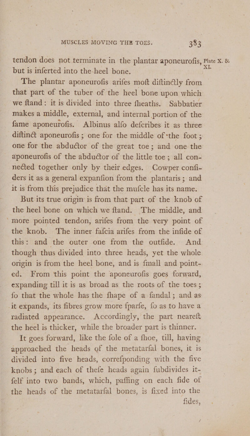 tendon does not terminate in the plantar aponeurofis, Plate X. &amp; but is inferted into the-heel bone. a The plantar aponeurofis arifes moft diftintly from that part of the tuber of the heel bone upon which we ftand: it is divided into three fheaths. Sabbatier makes a middle, external, and internal portion of the fame aponeurofis. Albinus alfo defcribes it as three _ diftinét aponeurofis ; one for the middle of ‘the foot ; one for the abductor of the great toe; and one the aponeurofis of the abductor of the little toe ; all con- nected together only by their edges. Cowper confi- ders it as a general expanfion from the plantaris; and it is from this prejudice that the mufcle has its name. But its true origin is from that part of the knob of the heel bone on which we ftand. The middle, and “more pointed tendon, arifes from the very point of the knob. The inner fafcia arifes from the infide of this: and the outer one from the outfide. And though thus divided into three heads, yet the whole origin is from the heel bone, and is fmall and point- ed. From this point the aponeurofis goes forward, expanding till it is as broad as the roots of the toes ; fo that the whole has the fhape of a fandal; and as -it expands, its fibres grow more {parfe, fo as to have a radiated appearance. Accordingly, the part neareft the heel is thicker, while the broader part is thinner. It goes forward, like the fole of a fhoe, till, having approached the heads of the metatarfal bones, it is divided into five heads, correfponding with the five knobs; and each of thefe heads again fubdivides it- felf into two bands, which, paffing on each fide of the heads of the metatarfal pence, is fixed into the fides,