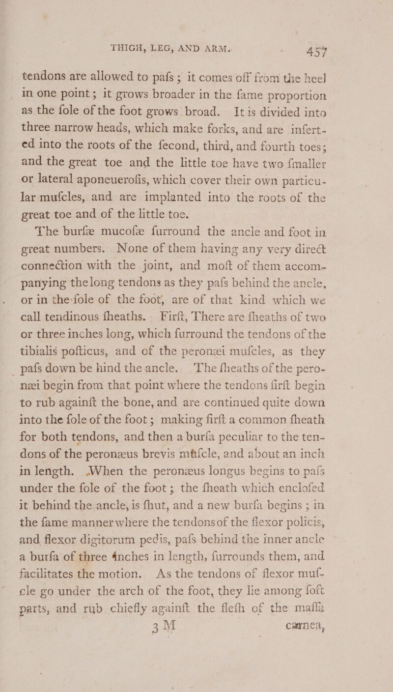 tendons are allowed to pafs ; it comes off from the heel in one point ; it grows broader in the fame proportion as the fole of the foot grows broad. Itis divided into three narrow heads, which make forks, and are infert- ed into the roots of the fecond, third, and fourth toes; and the great toe and the little toe have two fmaller or lateral aponcuerofis, which cover their own particu- lar mufcles, and are implanted into the roots of the great toe and of the little toe. The burfze mucofe furround the ancle and foot in great numbers. None of them having any very direct conneGtion with the joint, and moft of them accom-— panying the long tendons as they pafs behind the ancle, or in the:fole of the foot, are of that kind which we call tendinous fheaths.. Firft, There are fheaths of two or three inches long, which furround the tendons of the tibialis pofticus, and of the peronzi mufcles, as they _ pafsdown be hindtheancle. The fheaths of the pero- neei begin from that point where the tendons firft begin to rub againit the bone, and are continued quite down into the fole of the foot; making firft a common fheath for both tendons, and then a burifa peculiar to the ten- dons of the peronzus brevis mficle, and about an inch in length. -When the peronzus longus begins to pafs under the fole of the foot ; the fheath which enclofed it behind the-ancle, is fhut, and a new burfa begins ; in the fame manner where the tendonsof the flexor policis, and flexor digitorum pedis, pafs behind the inner ancle a burfa of three 4nches in length, furrounds them, and facilitates the motion. As the tendons of flexor mul- cle go under the arch of the foot, they lie among foft parts, and rub. chiefly againft the flefh of the mafia 3M camnea,