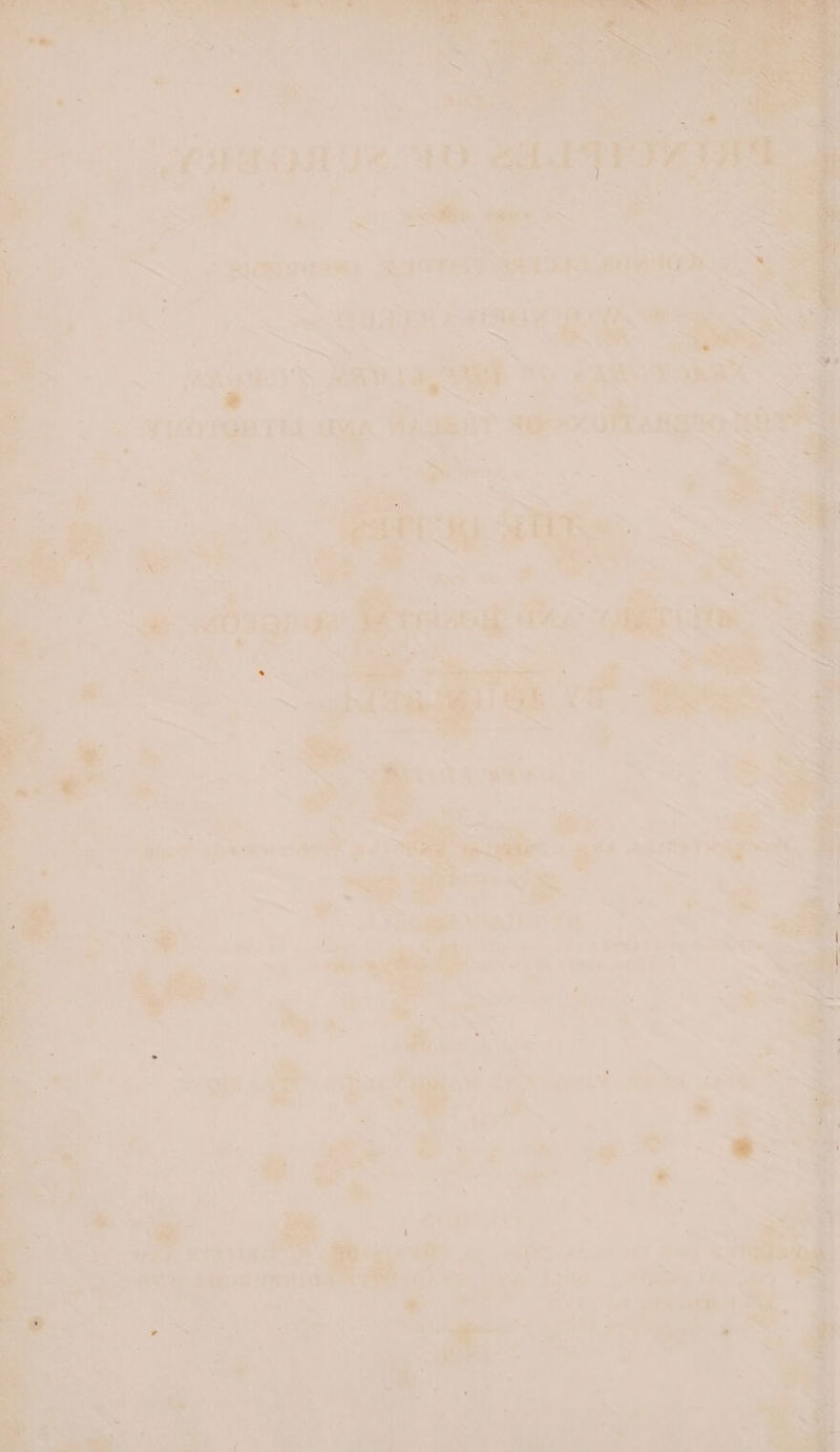 we Waa’ Je. ie A roel SSL Sra sat < oe 4:2) #8 es ae ; ie ie i