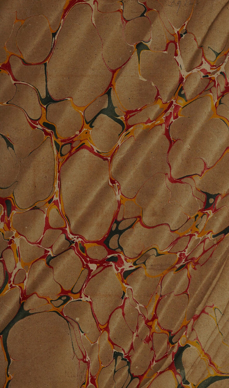 No text description is available for this image