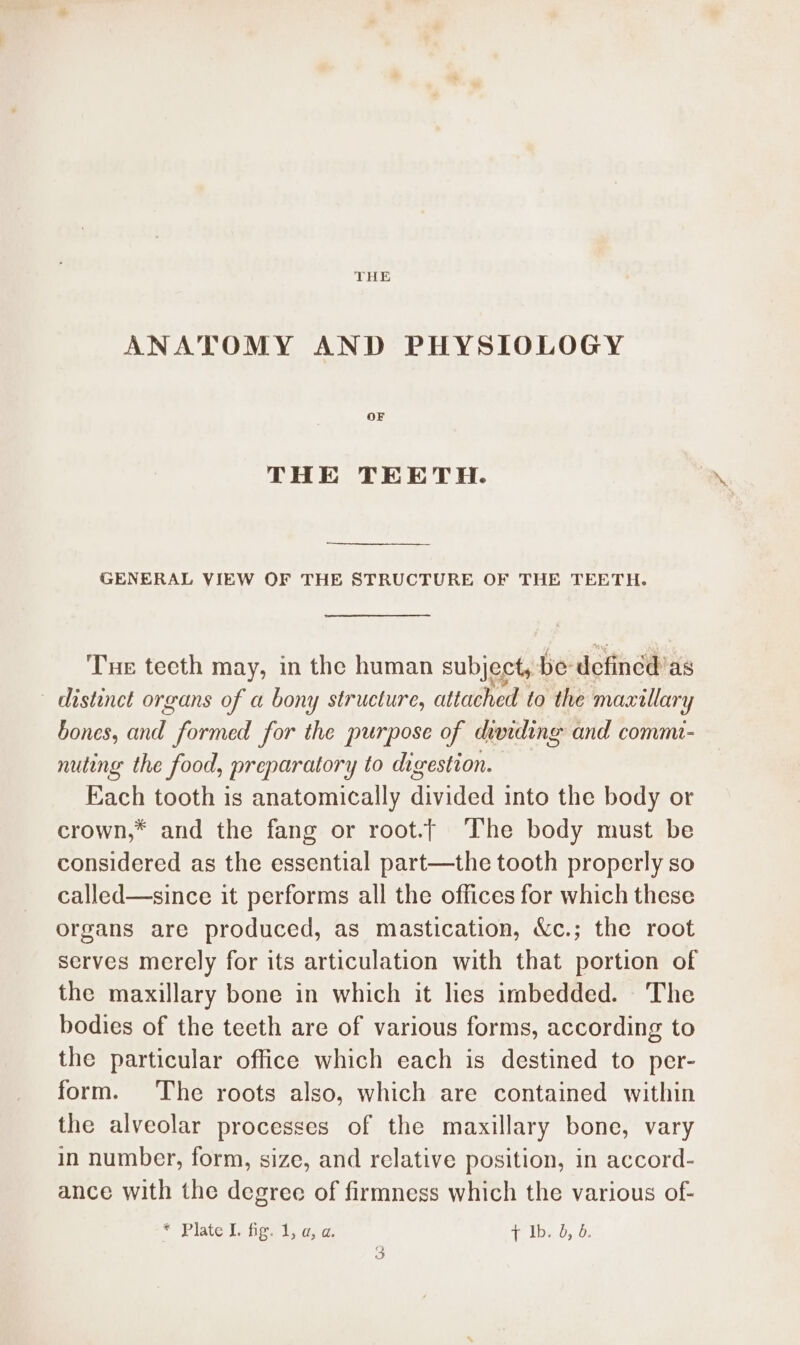 THE ANATOMY AND PHYSIOLOGY THE TEETH. GENERAL VIEW OF THE STRUCTURE OF THE TEETH. Tue tecth may, in the human subject, be defined’ as distinct organs of a bony structure, attached to the maxillary bones, and formed for the purpose of dividing and comm- nuting the food, preparatory to digestion. Each tooth is anatomically divided into the body or crown,* and the fang or root.t ‘The body must be considered as the essential part—the tooth properly so called—since it performs all the offices for which these organs are produced, as mastication, &amp;c.; the root serves merely for its articulation with that portion of the maxillary bone in which it lies imbedded. The bodies of the teeth are of various forms, according to the particular office which each is destined to per- form. The roots also, which are contained within the alveolar processes of the maxillary bone, vary in number, form, size, and relative position, in accord- ance with the degree of firmness which the various of- e Pilate Lefice t. oy Tr lbw, G.