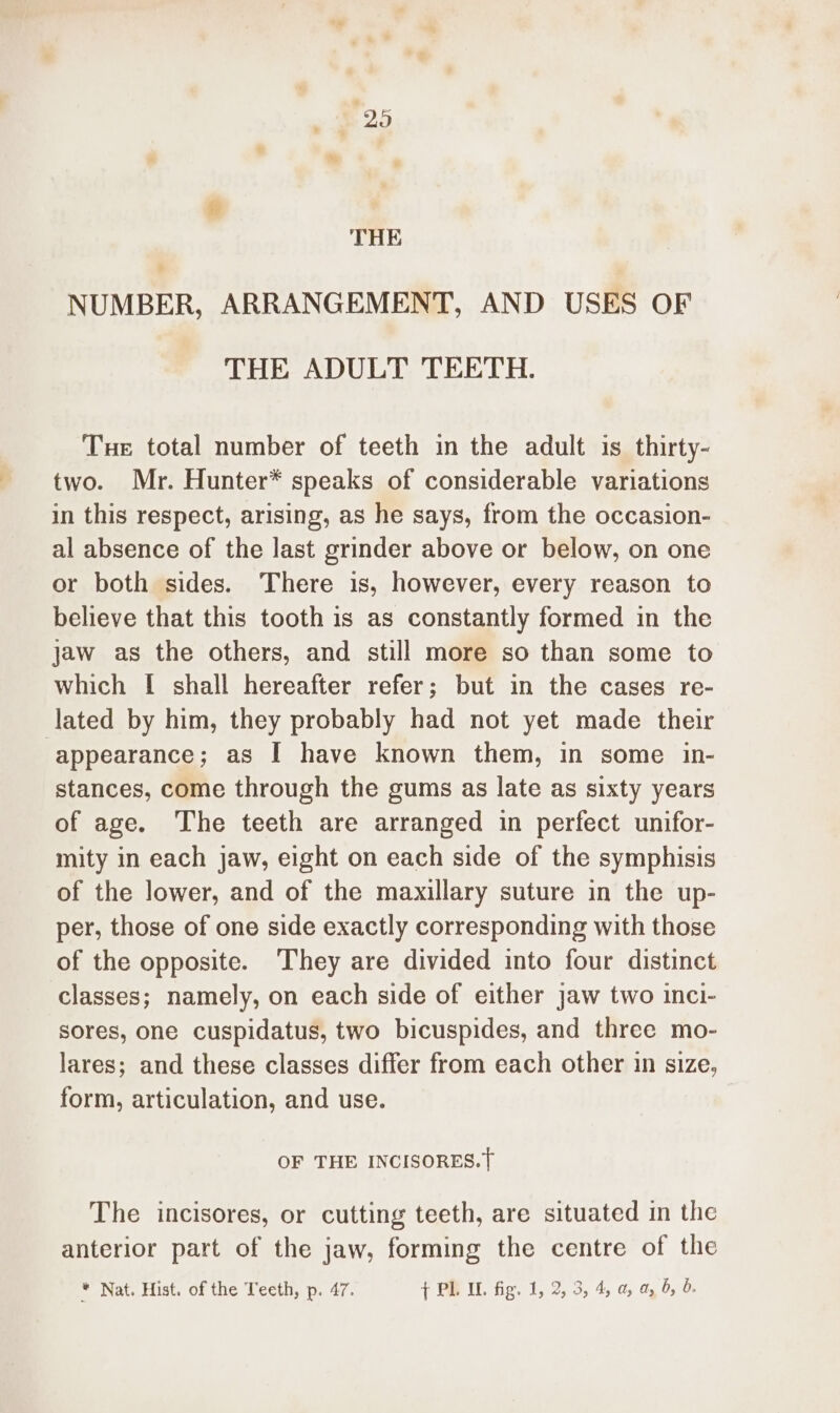 25 THE &gt; NUMBER, ARRANGEMENT, AND USES OF THE ADULT TEETH. Tue total number of teeth in the adult is thirty- two. Mr. Hunter* speaks of considerable variations in this respect, arising, as he says, from the occasion- al absence of the last grinder above or below, on one or both sides. There is, however, every reason to believe that this tooth is as constantly formed in the jaw as the others, and still more so than some to which [ shall hereafter refer; but in the cases re- lated by him, they probably had not yet made their “appearance ; as I have known them, in some in- stances, come through the gums as late as sixty years of age. The teeth are arranged in perfect unifor- mity in each jaw, eight on each side of the symphisis of the lower, and of the maxillary suture in the up- per, those of one side exactly corresponding with those of the opposite. They are divided into four distinct classes; namely, on each side of either jaw two inci- sores, one cuspidatus, two bicuspides, and three mo- lares; and these classes differ from each other in size, form, articulation, and use. OF THE INCISORES.} The incisores, or cutting teeth, are situated in the anterior part of the jaw, forming the centre of the /