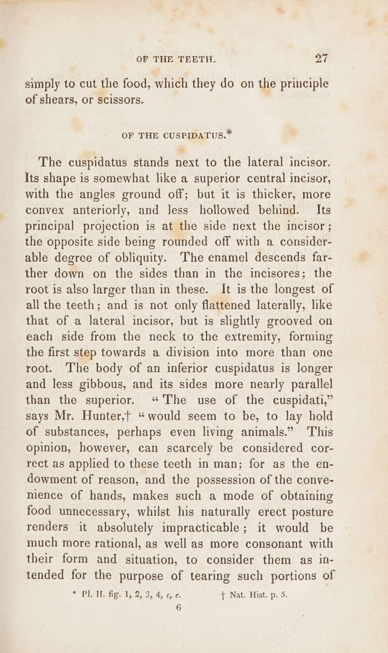 simply to cut the food, which they do on the principle of shears, or scissors. OF THE CUSPIDATUS.* The cuspidatus stands next to the lateral incisor. Its shape is somewhat like a superior central incisor, with the angles ground off; but it is thicker, more convex anteriorly, and less hollowed behind. Its principal projection is at the side next the incisor ; the opposite side being rounded off with a consider- able degree of obliquity. ‘The enamel descends far- ther down on the sides than in the incisores; the root is also larger than in these. It is the longest of all the teeth; and is not only flattened laterally, like that of a lateral incisor, but is slightly grooved on -each side from the neck to the extremity, forming the first step towards a division into more than one root. ‘The body of an inferior cuspidatus is longer and less gibbous, and its sides more nearly parallel than the superior. “The use of the cuspidati,” says Mr. Hunter,t “would seem to be, to lay hold of substances, perhaps even living animals.” This opinion, however, can scarcely be considered cor- rect as applied to these teeth in man; for as the en- dowment of reason, and the possession of the conve- mence of hands, makes such a mode of obtaining food unnecessary, whilst his naturally erect posture renders it absolutely impracticable; it would be much more rational, as well as more consonant with their form and situation, to consider them as in- tended for the purpose of tearing such portions of * DIAM, fies 2. 354. cc, { Nat. Hist, p. 5.