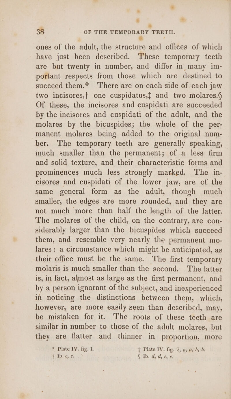 + . os 38 OF THE TEMPORARY TEETH. &amp; r] ones of the adult, the structure and offices of which have just been described. These temporary teeth are but twenty in number, and differ in many im- portant respects from those which are destined to succeed them.* There are on each side of each jaw two incisores,f one cuspidatus,[f and two molares.9 Of these, the incisores and cuspidati are succeeded by the incisores and cuspidati of the adult, and the molares by the bicuspides; the whole of the per- manent molares being added to the original num- ber. The temporary teeth are generally speaking, much smaller than the permanent; of a less firm and solid texture, and their characteristic forms and prominences much less strongly marked. The in- cisores and cuspidati of the lower jaw, are of the same general form as the adult, though much smaller, the edges are more rounded, and they are not much more than half the length of the latter. The molares of the child, on the contrary, are con- siderably larger than the bicuspides which succeed them, and resemble very nearly the permanent mo- lares: a circumstance which might be anticipated, as their office must be the same. The first temporary molaris is much smaller than the second. The latter is, in fact, almost as large as the first permanent, and by a person ignorant of the subject, and inexperienced in noticing the distinctions between them, which, however, are more easily seen than described, may, be mistaken for it. The roots of these teeth are similar in number to those of the adult molares, but they are flatter and thinner in proportion, more * Plate IV. fig. 1. { Plate IV. fig. 2, a, a, b, 6. 73D) C..C § Ib. d, d, e, e.