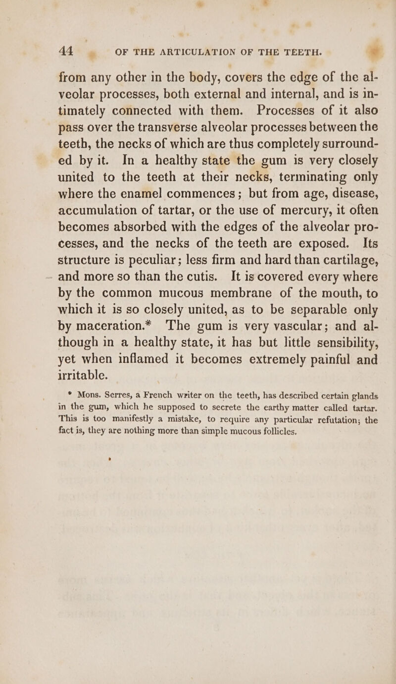 from any other in the body, covers the edge of the al- veolar processes, both external and internal, and 1s in- timately connected with them. Processes of it also pass over the transverse alveolar processes between the teeth, the necks of which are thus completely surround- ed by it. In a healthy state the gum is very closely united to the teeth at their necks, terminating only where the enamel commences; but from age, disease, accumulation of tartar, or the use of mercury, it often becomes absorbed with the edges of the alveolar pro- cesses, and the necks of the teeth are exposed. Its structure is peculiar; less firm and hard than cartilage, and more so than the cutis. It is covered every where by the common mucous membrane of the mouth, to which it 1s so closely united, as to be separable only by maceration.* The gum is very vascular; and al- though in a healthy state, it has but little sensibility, yet when inflamed it becomes extremely painful and uritable. * Mons. Serres, a French writer on the teeth, has described certain glands in the gum, which he supposed to secrete the earthy matter called tartar. This is too manifestly a mistake, to require any particular refutation; the fact is, they are nothing more than simple mucous follicles.