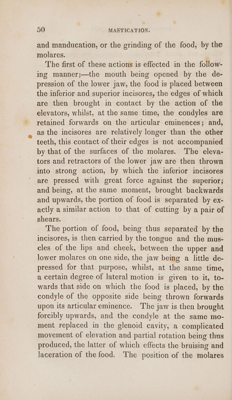 and manducation, or the grinding of the food, by the molares. : The first of these actions is effected in the follow- ing manner;—the mouth being opened by the de- pression of the lower jaw, the food is placed between the inferior and superior incisores, the edges of which are then brought in contact by the action of the elevators, whilst, at the same time, the condyles are retained forwards on the articular eminenees; and, as the incisores are relatively longer than the other teeth, this contact of their edges is not accompanied by that of the surfaces of the molares. The eleva- tors and retractors of the lower jaw are then thrown into strong action, by which the inferior incisores are pressed with great force against the superior; and being, at the same moment, brought backwards and upwards, the portion of food is separated by ex- actly a similar action to that of cutting by a pair of shears. The portion of food, being thus separated by the incisores, 1s then carried by the tongue and the mus- cles of the lips and cheek, between the upper and lower molares on one side, the jaw being a little de- pressed for that purpose, whilst, at the same time, a certain degree of lateral motion is given to it, to- wards that side on which the food is placed, by the condyle of the opposite side being thrown forwards upon its articular eminence. The jaw is then brought forcibly upwards, and the condyle at the same mo- ment replaced in the glenoid cavity, a complicated movement of elevation and partial rotation being thus produced, the latter of which effects the bruising and laceration of the food. The position of the molares