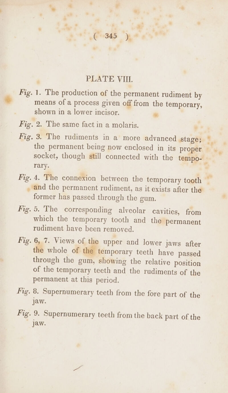 ‘ . € * a € 345 ye* « . PLATE VIII. Fig. 1. The production of the permanent rudiment by means of a process given off from the temporary shown in a lower incisor. os | Fig. 2. The same fact in a molaris. e Fig. 3. The rudiments in a more advanced stage; rary. , and the permanent rudiment, as it exists after the former has passed through the gum. Fig. 5. The corresponding alveolar Cavities, from which the temporary tooth and the permanent rudiment have been removed. Fig. 6, 7. Views of the upper and lower jaws after the whole of the temporary teeth have passed through the gum, showing the relative position of the temporary teeth and the rudiments of the permanent at this period. Fig. 8. Supernumerary teeth from the fore part of the jaw. fig. 9. Supernumerary teeth from the back part of the Jaw. ¢