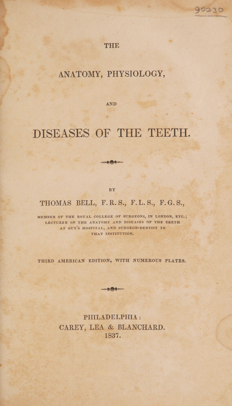 ie ANATOMY, PHYSIOLOGY, { AND &gt; @QO«:- BY THOMAS BELL, F.R.S., F.L.S., F:G.S., MEMBER OF THE ROYAL COLLEGE OF SURGEONS, IN LONDON, ETC.; LECTURER ON THE ANATOMY AND DISEASES OF THE TEETH AT GUY’S HOSPITAL, AND SURGEON-DENTIST TO | THAT INSTITUTION. Cart eee THIRD AMERICAN EDITION, WITH NUMEROUS PLATES. rr @OQO«-- PHILADELPHIA : CAREY, LEA &amp; BLANCHARD. | 1837. |