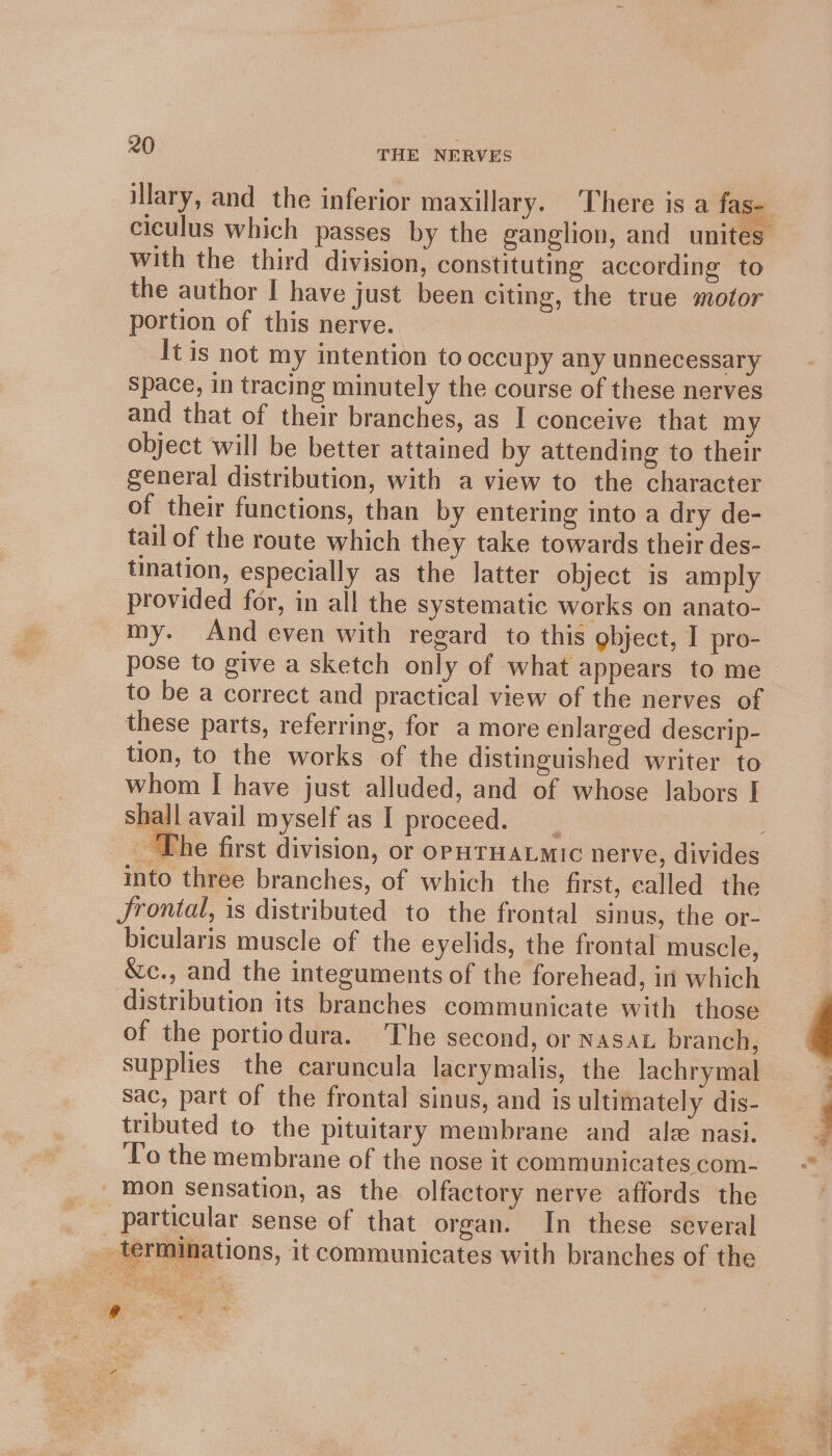 illary, and the inferior maxillary. ‘There is a fas- ciculus which passes by the ganglion, and unites with the third division, constituting according to the author I have just been citing, the true motor portion of this nerve. It is not my intention to occupy any unnecessary Space, in tracing minutely the course of these nerves and that of their branches, as I conceive that my object will be better attained by attending to their general distribution, with a view to the character of their functions, than by entering into a dry de- tail of the route which they take towards their des- tination, especially as the latter object is amply provided for, in all the systematic works on anato- my. And even with regard to this gbject, I pro- pose to give a sketch only of what appears to me to be a correct and practical view of the nerves of these parts, referring, for a more enlarged descrip- tion, to the works of the distinguished writer to whom I have just alluded, and of whose labors I Shall avail myself as I proceed. __ | _ The first division, or oPpHTHALMIC nerve, divides into three branches, of which the first, called the Jrontal, is distributed to the frontal sinus, the or- bicularis muscle of the eyelids, the frontal muscle, &amp;c., and the integuments of the forehead, in which distribution its branches communicate with those of the portiodura. The second, or nasat branch, supplies the caruncula lacrymalis, the lachrymal j sac, part of the frontal sinus, and is ultimately dis- tributed to the pituitary membrane and ale nasi. j ‘To the membrane of the nose it communicatescom- = _ mon sensation, as the olfactory nerve affords the _ particular sense of that organ. In these several _ terminations, it communicates with branches of the Satie ” ) 2 *