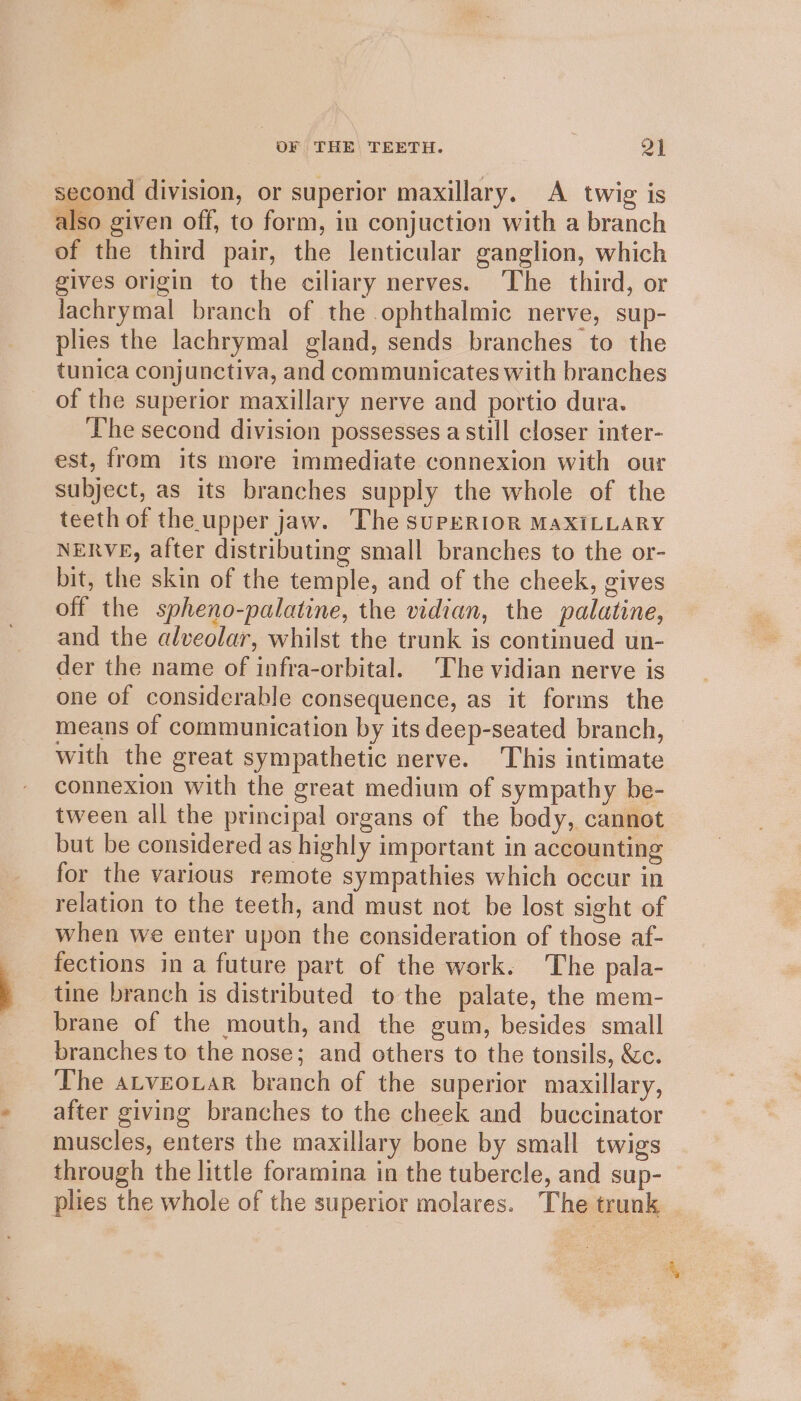 second division, or superior maxillary. A twig is also given off, to form, in conjuction with a branch of the third pair, the lenticular ganglion, which gives origin to the ciliary nerves. The third, or lachrymal branch of the ophthalmic nerve, sup- plies the lachrymal gland, sends branches to the tunica conjunctiva, and communicates with branches of the superior maxillary nerve and portio dura. The second division possesses a still closer inter- est, from its more immediate connexion with our subject, as its branches supply the whole of the teeth of the upper jaw. The SUPERIOR MAXILLARY NERVE, after distributing small branches to the or- bit, the skin of the temple, and of the cheek, gives off the spheno-palatine, the vidian, the palatine, and the alveolar, whilst the trunk is continued un- der the name of infra-orbital. The vidian nerve is one of considerable consequence, as it forms the means of communication by its deep-seated branch, with the great sympathetic nerve. This intimate connexion with the great medium of sympathy be- tween all the principal organs of the body, cannot but be considered as highly important in accounting for the various remote sympathies which occur in relation to the teeth, and must not be lost sight of when we enter upon the consideration of those af- fections in a future part of the work. The pala- tine branch is distributed to the palate, the mem- brane of the mouth, and the gum, besides small branches to the nose; and others to the tonsils, &amp;c. The atveouar branch of the superior maxillary, after giving branches to the cheek and buccinator muscles, enters the maxillary bone by small twigs through the little foramina in the tubercle, and sup- plies the whole of the superior molares. The trunk
