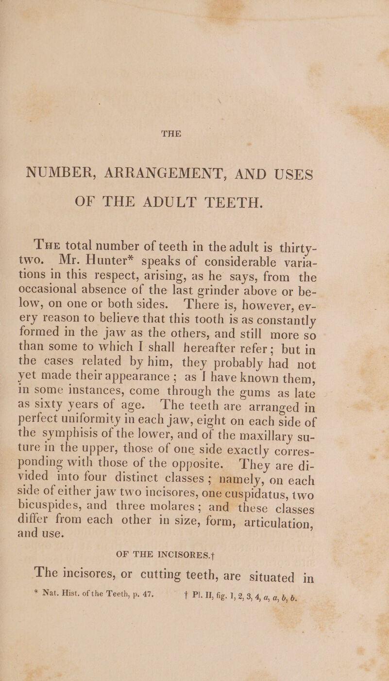 A eee THE NUMBER, ARRANGEMENT, AND USES OF THE ADULT TEETH. Tue total number of teeth in the adult is thirty- two. Mr. Hunter* speaks of considerable varia- tions in this respect, arising, as he says, from the occasional absence of the last grinder above or be- low, on one or both sides. There is, however, ev- ery reason to believe that this tooth is as constantly formed in the jaw as the others, and still more so than some to which I shall hereafter refer; but in the cases related by him, they probably had not yet made their appearance ; as | have known them, in some instances, come through the gums as late as sixty years of age. he teeth are arranged in perfect uniformity in each jaw, eight on each side of the symphisis of the lower, and of the maxillary su- ture in the upper, those of one side exactly corres- ponding with those of the opposite. They are di- vided into four distinct classes; namely, on each side of either jaw two incisores, one cuspidatus, two bicuspides, and three molares; and these classes differ from each other in size, form, articulation, and use. OF THE INCISORES.} ‘The incisores, or cutting teeth, are situated in