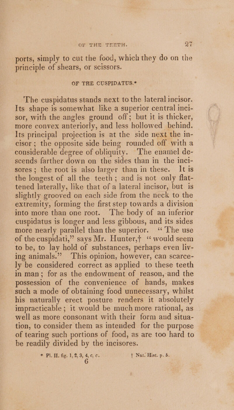 ports, simply to cut the food, which they do on the principle of shears, or scissors. OF THE CUSPIDATUS.* The cuspidatus stands next to the lateral incisor. Its shape is somewhat like a superior central inci- sor, with the angles ground off; but it is thicker, more convex anteriorly, and less tulowed behind. Its principal projection is at the side next the in- cisor; the opposite side being rounded off with a considerable degree of obliquity. The enamel de- scends farther down on the sides than in the inci- sores ; the root is also larger than in these. It is the longest of all the teeth; and is not only flat- tened laterally, like that of a lateral incisor, but is slightly grooved on each side from the neck to the extremity, forming the first step towards a division into more than one root. ‘The body of an inferior cuspidatus is longer and less gibbous, and its sides more nearly parallel thanthe superior. ‘ The use of the cuspidati,”’ says Mr. Hunter, ‘ would seem to be, to lay hold of substances, perhaps even liv- ing animals.”’ ‘This opinion, however, can scarce- ly be considered correct as applied to these teeth in man; for as the endowment of reason, and the possession of the convenience of hands, makes such a mode of obtaining food unnecessary, whilst his naturally erect posture renders it absolutely impracticable ; it would be much more rational, as well as more consonant with their form and situa- tion, to consider them as intended for the purpose of tearing such portions of food, as are too hard to be readily divided by the incisores. * Ploi, fg; 1,2, 3, 4,6 € + Nat. Hist. p. 5.