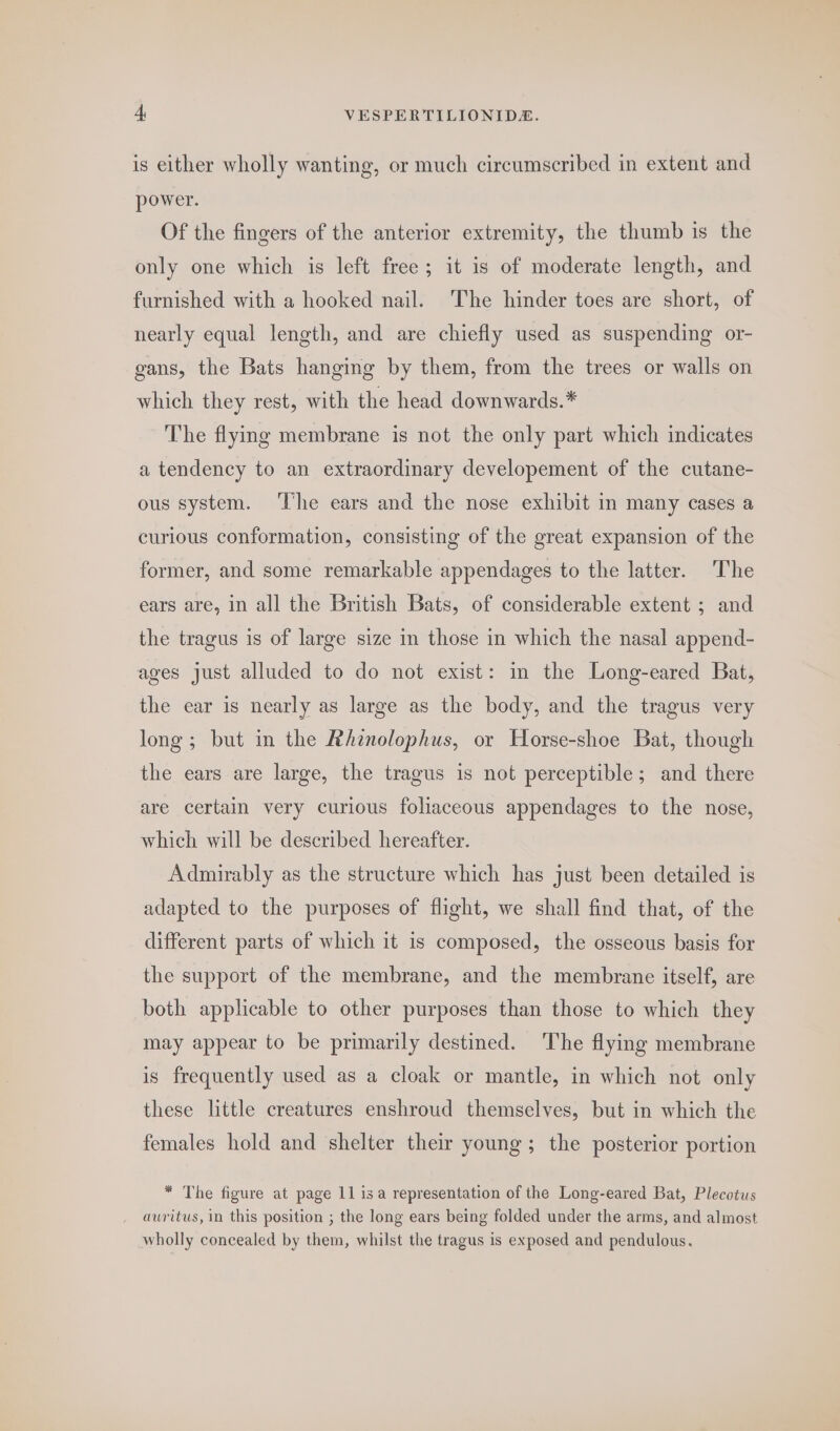 is either wholly wanting, or much circumscribed in extent and power. Of the fingers of the anterior extremity, the thumb is the only one which is left free; it is of moderate length, and furnished with a hooked nail. The hinder toes are short, of nearly equal length, and are chiefly used as suspending or- gans, the Bats hanging by them, from the trees or walls on which they rest, with the head downwards.* The flying membrane is not the only part which indicates a tendency to an extraordinary developement of the cutane- ous system. ‘lhe ears and the nose exhibit in many cases a curious conformation, consisting of the great expansion of the former, and some remarkable appendages to the latter. The ears are, in all the British Bats, of considerable extent ; and the tragus is of large size in those in which the nasal append- ages just alluded to do not exist: in the Long-eared Bat, the ear is nearly as large as the body, and the tragus very long; but in the Rhznolophus, or Horse-shoe Bat, though the ears are large, the tragus is not perceptible; and there are certain very curious foliaceous appendages to the nose, which will be described hereafter. Admirably as the structure which has just been detailed is adapted to the purposes of flight, we shall find that, of the different parts of which it is composed, the osseous basis for the support of the membrane, and the membrane itself, are both applicable to other purposes than those to which they may appear to be primarily destined. The flying membrane is frequently used as a cloak or mantle, in which not only these little creatures enshroud themselves, but in which the females hold and shelter their young; the posterior portion * The figure at page 11 isa representation of the Long-eared Bat, Plecotus auritus, in this position ; the long ears being folded under the arms, and almost wholly concealed by them, whilst the tragus is exposed and pendulous.