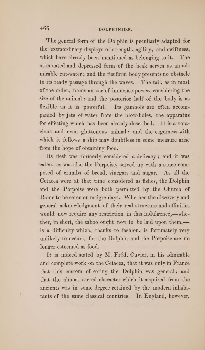 The general form of the Dolphin is peculiarly adapted for the extraordinary displays of strength, agility, and swiftness, which have already been mentioned as belonging to it. The attenuated and depressed form of the beak serves as an ad- mirable cut-water ; and the fusiform body presents no obstacle to its ready passage through the waves. The tail, as in most of the order, forms an oar of immense power, considering the size of the animal ; and the posterior half of the body is as flexible as it is powerful. Its gambols are often accom- panied by jets of water from the blow-holes, the apparatus for effecting which has been already described. It is a vora- cious and even gluttonous animal; and the eagerness with which it follows a ship may doubtless in some measure arise from the hope of obtaining food. Its flesh was formerly considered a delicacy ; and it was eaten, as was also the Porpoise, served up with a sauce com- posed of crumbs of bread, vinegar, and sugar. As all the Cetacea were at that time considered as fishes, the Dolphin and the Porpoise were both permitted by the Church of Rome to be eaten on maigre days. Whether the discovery and general acknowledgment of their real structure and affinities would now require any restriction in this indulgence,—whe- ther, in short, the taboo ought now to be laid upon them,— is a difficulty which, thanks to fashion, is fortunately very unlikely to occur; for the Dolphin and the Porpoise are no longer esteemed as food. It is indeed stated by M. Fréd. Cuvier, in his admirable and complete work on the Cetacea, that it was only in France that this custom of eating the Dolphin was general; and that the almost sacred character which it acquired from the ancients was in some degree retained by the modern inhabi- tants of the same classical countries. In England, however,