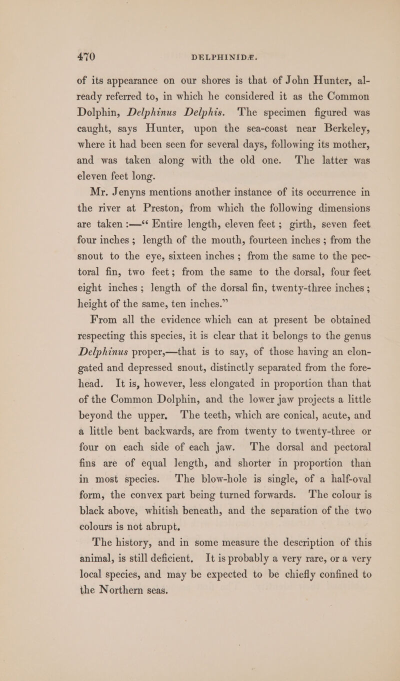 of its appearance on our shores is that of John Hunter, al- ready referred to, in which he considered it as the Common Dolphin, Delphinus Delphis. The specimen figured was caught, says Hunter, upon the sea-coast near Berkeley, where it had been seen for several days, following its mother, and was taken along with the old one. The latter was eleven feet long. Mr. Jenyns mentions another instance of its occurrence in the river at Preston, from which the following dimensions are taken :—‘ Entire length, eleven feet ; girth, seven feet four inches; length of the mouth, fourteen inches ; from the snout to the eye, sixteen inches ; from the same to the pec- toral fin, two feet; from the same to the dorsal, four feet eight inches; length of the dorsal fin, twenty-three inches ; height of the same, ten inches.” From all the evidence which can at present be obtained respecting this species, it is clear that it belongs to the genus Delphinus proper,—that is to say, of those having an elon- gated and depressed snout, distinctly separated from the fore- head. It is, however, less elongated in proportion than that of the Common Dolphin, and the lower jaw projects a little beyond the upper, The teeth, which are conical, acute, and a little bent backwards, are from twenty to twenty-three or four on each side of each jaw. ‘The dorsal and pectoral fins are of equal length, and shorter in proportion than in most species. The blow-hole is single, of a half-oval form, the convex part being turned forwards. The colour is black above, whitish beneath, and the separation of the two colours is not abrupt. The history, and in some measure the description of this animal, is still deficient. It is probably a very rare, or a very local species, and may be expected to be chiefly confined to the Northern seas.