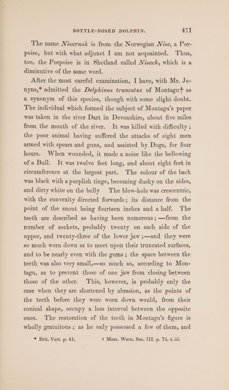 The name NMisarnak is from the Norwegian Nise, a Por- poise, but with what adjunct I am not acquainted. Thus, too, the Porpoise is in Shetland called Nésack, which is a diminutive of the same word. After the most careful examination, I have, with Mr. Je- nyns,* admitted the Delphinus truncatus of Montagu as a synonym of this species, though with some slight doubt. The individual which formed the subject of Montagu’s paper was taken in the river Dart in Devonshire, about five miles from the mouth of the river. It was killed with difficulty ; the poor animal having suffered the attacks of eight men armed with spears and guns, and assisted by Dogs, for four hours. When wounded, it made a noise like the bellowing ofa Bull. It was twelve feet long, and about eight feet in circumference at the largest part. The colour of the back was black with a purplish tinge, becoming dusky on the sides, and dirty white on the belly The blow-hole was crescentric, with the convexity directed forwards; its distance from the point of the snout being fourteen inches and a half. ‘The teeth are described as having been numerous; —from the number of sockets, probably twenty on each side of the upper, and twenty-three of the lower jaw ;—and they were so much worn down as to meet upon their truncated surfaces, and to be nearly even with the gums; the space between the teeth was also very small,—so much so, according to Mon- tagu, as to prevent those of one jaw from closing between those of the other. This, however, is probably only the case when they are shortened by abrasion, as the points of the teeth before they were worn down would, from their conical shape, occupy a less interval between the opposite ones. The restoration of the teeth in Montagu’s figure is wholly gratuitous ; as he only possessed a few of them, and * Brit. Vert. p. 41. + Mem. Wern. Soc. III. p. 75, t. ii.