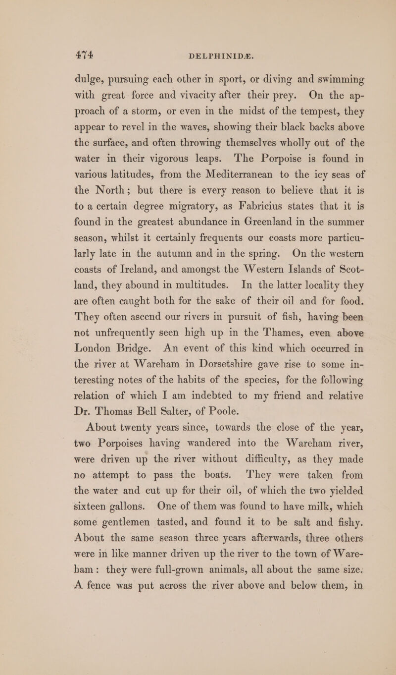 dulge, pursuing each other in sport, or diving and swimming with great force and vivacity after their prey. On the ap- proach of a storm, or even in the midst of the tempest, they appear to revel in the waves, showing their black backs above the surface, and often throwing themselves wholly out of the water in their vigorous leaps. ‘The Porpoise is found in various latitudes, from the Mediterranean to the icy seas of the North; but there is every reason to believe that it is to a certain degree migratory, as Fabricius states that it is found in the greatest abundance in Greenland in the summer season, whilst it certainly frequents our coasts more particu- larly late in the autumn and in the spring. On the western coasts of Ireland, and amongst the Western Islands of Scot- land, they abound in multitudes. In the latter locality they are often caught both for the sake of their oil and for food. They often ascend our rivers in pursuit of fish, having been not unfrequently seen high up in the Thames, even above London Bridge. An event of this kind which occurred in the river at Wareham in Dorsetshire gave rise to some in- teresting notes of the habits of the species, for the following relation of which I am indebted to my friend and relative Dr. Thomas Bell Salter, of Poole. About twenty years since, towards the close of the year, two Porpoises having wandered into the Wareham river, were driven up the river without difficulty, as they made no attempt to pass the boats. ‘They were taken from the water and cut up for their oil, of which the two yielded sixteen gallons. One of them was found to have milk, which some gentlemen tasted, and found it to be salt and fishy. About the same season three years afterwards, three others were in like manner driven up the river to the town of Ware- ham: they were full-grown animals, all about the same size. A fence was put across the river above and below them, in