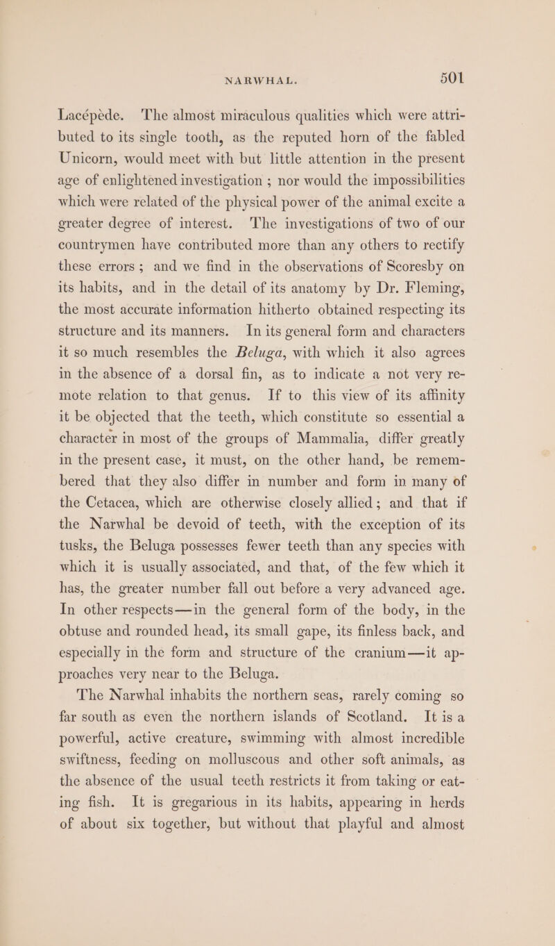 Lacépede. The almost miraculous qualities which were attri- buted to its single tooth, as the reputed horn of the fabled Unicorn, would meet with but little attention in the present age of enlightened investigation ; nor would the impossibilities which were related of the physical power of the animal excite a greater degree of interest. ‘The investigations of two of our countrymen have contributed more than any others to rectify these errors; and we find in the observations of Scoresby on its habits, and in the detail of its anatomy by Dr. Fleming, the most accurate information hitherto obtained respecting its structure and its manners. In its general form and characters it so much resembles the Beluga, with which it also agrees in the absence of a dorsal fin, as to indicate a not very re- mote relation to that genus. If to this view of its affinity it be objected that the teeth, which constitute so essential a character in most of the groups of Mammalia, differ greatly in the present case, 1t must, on the other hand, be remem- bered that they also differ in number and form in many of the Cetacea, which are otherwise closely allied; and that if the Narwhal be devoid of teeth, with the exception of its tusks, the Beluga possesses fewer teeth than any species with which it is usually associated, and that, of the few which it has, the greater number fall out before a very advanced age. In other respects—in the general form of the body, in the obtuse and rounded head, its small gape, its finless back, and especially in the form and structure of the cranium—it ap- proaches very near to the Beluga. The Narwhal inhabits the northern seas, rarely coming so far south as even the northern islands of Scotland. It isa powerful, active creature, swimming with almost incredible swiftness, feeding on molluscous and other soft animals, as the absence of the usual teeth restricts it from taking or eat- ing fish. It is gregarious in its habits, appearing in herds of about six together, but without that playful and almost