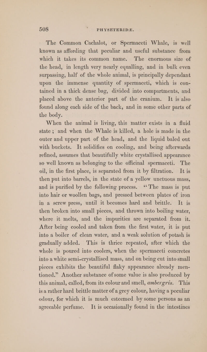 The Common Cachalot, or Spermaceti Whale, is well known as affording that peculiar and useful substance from which it takes its common name. ‘The enormous size of the head, in length very nearly equalling, and in bulk even surpassing, half of the whole animal, is principally dependant upon the immense quantity of spermaceti, which is con- tained in a thick dense bag, divided into compartments, and placed above the anterior part of the cranium. It is also found along each side of the back, and in some other parts of the body. When the animal is living, this matter exists im a fluid state; and when the Whale is killed, a hole is made in the outer and upper part of the head, and the liquid baled out with buckets. It solidifies on cooling, and being afterwards refined, assumes that beautifully white crystallised appearance so well known as belonging to the officinal spermaceti. The oil, in the first place, is separated from it by filtration. It is then put into barrels, in the state of a yellow unctuous mass, and is purified by the following process. ‘‘'The mass is put into hair or woollen bags, and pressed between plates of iron in a screw press, until it becomes hard and brittle. It is then broken into small pieces, and thrown into boiling water, where it melts, and the impurities are separated from it. After being cooled and taken from the first water, it is put into a boiler of clean water, and a weak solution of potash is gradually added. This is thrice repeated, after which the whole is poured into coolers, when the spermaceti concretes into a white semi-crystallised mass, and on being cut into small pieces exhibits the beautiful flaky appearance already men- tioned.” Another substance of some value is also produced by this animal, called, from its colour and smell, ambergris. This isa rather hard brittle matter of a grey colour, having a peculiar odour, for which it is much esteemed by some persons as an agreeable perfume. It is occasionally found in the intestines