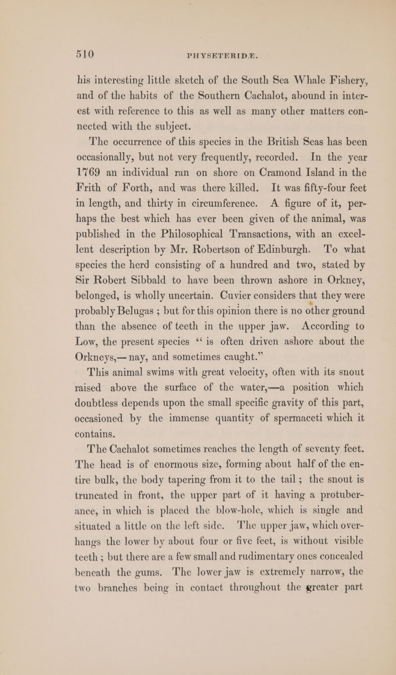 his interesting little sketch of the South Sea Whale Fishery, and of the habits of the Southern Cachalot, abound in inter- est with reference to this as well as many other matters con- nected with the subject. The occurrence of this species in the British Seas has been occasionally, but not very frequently, recorded. In the year 1769 an individual ran on shore on Cramond Island in the Frith of Forth, and was there killed. It was fifty-four feet in length, and thirty in circumference. A figure of it, per- haps the best which has ever been given of the animal, was published in the Philosophical Transactions, with an excel- lent description by Mr. Robertson of Edinburgh. To what species the herd consisting of a hundred and two, stated by Sir Robert Sibbald to have been thrown ashore in Orkney, belonged, is wholly uncertain. Cuvier considers that they were probably Belugas ; but for this opinion there is no other ground than the absence of teeth in the upper jaw. According to Low, the present species ‘‘ is often driven ashore about the Orkneys,— nay, and sometimes caught.” This animal swims with great velocity, often with its snout raised above the surface of the water,—a position which doubtless depends upon the small specific gravity of this part, occasioned by the immense quantity of spermaceti which it contains. The Cachalot sometimes reaches the length of seventy feet. The head is of enormous size, forming about half of the en- tire bulk, the body tapering from it to the tail; the snout is truncated in front, the upper part of it having a protuber- ance, in which is placed the blow-hole, which is single and situated a little on the left side. The upper jaw, which over- hangs the lower by about four or five feet, is without visible teeth ; but there are a few small and rudimentary ones concealed beneath the gums. The lower jaw is extremely narrow, the two branches being in contact throughout the greater part