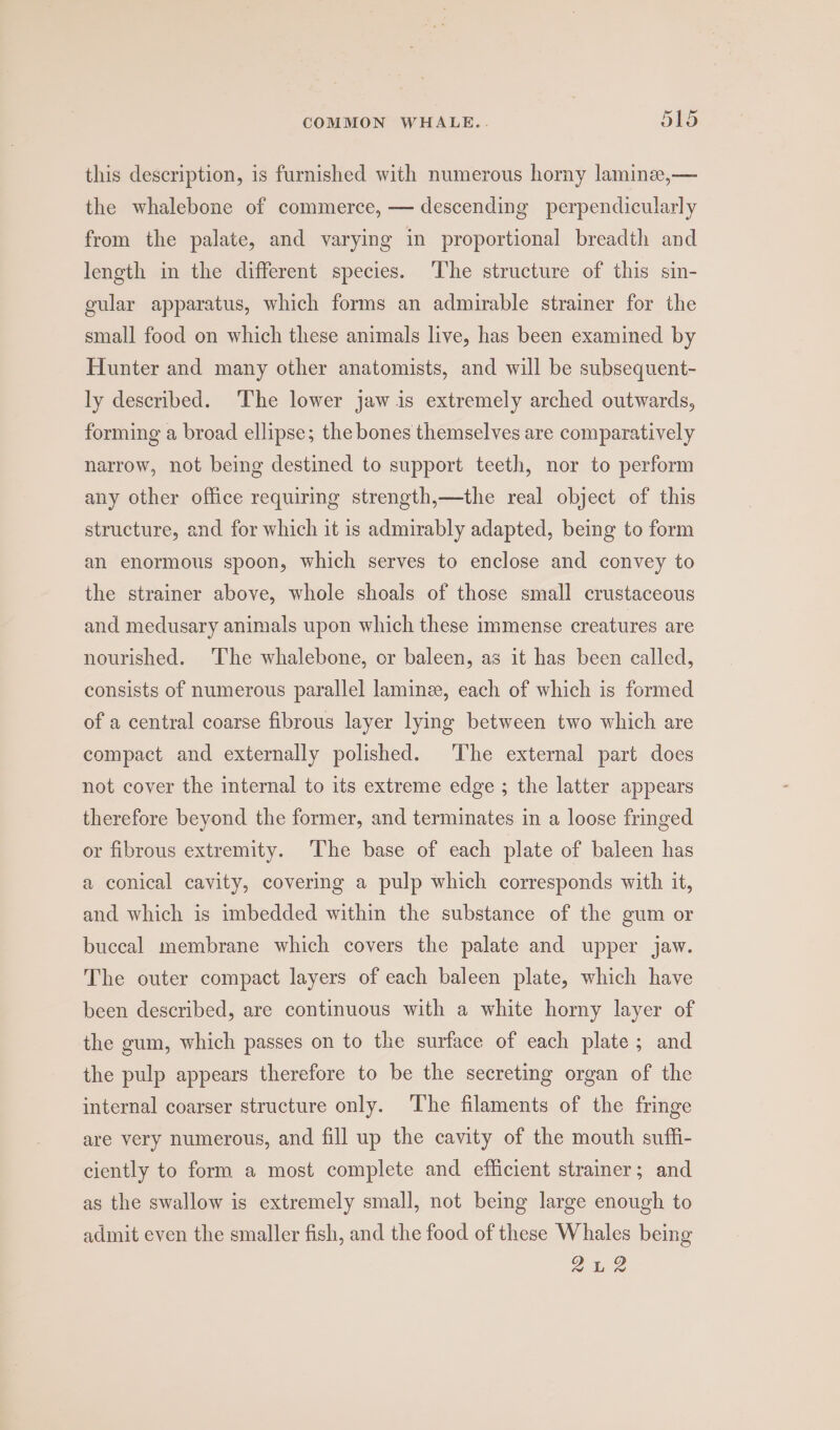 this description, is furnished with numerous horny lamine,— the whalebone of commerce, — descending perpendicularly from the palate, and varying in proportional breadth and length in the different species. The structure of this sin- gular apparatus, which forms an admirable strainer for the small food on which these animals live, has been examined by Hunter and many other anatomists, and will be subsequent- ly described. The lower jaw is extremely arched outwards, forming a broad ellipse; the bones themselves are comparatively narrow, not being destined to support teeth, nor to perform any other office requiring strength,—the real object of this structure, and for which it is admirably adapted, being to form an enormous spoon, which serves to enclose and convey to the strainer above, whole shoals of those small crustaceous and medusary animals upon which these immense creatures are nourished. The whalebone, or baleen, as it has been called, consists of numerous parallel laminze, each of which is formed of a central coarse fibrous layer lying between two which are compact and externally polished. The external part does not cover the internal to its extreme edge ; the latter appears therefore beyond the former, and terminates in a loose fringed or fibrous extremity. ‘The base of each plate of baleen has a conical cavity, covering a pulp which corresponds with it, and which is imbedded within the substance of the gum or buccal membrane which covers the palate and upper jaw. The outer compact layers of each baleen plate, which have been described, are continuous with a white horny layer of the gum, which passes on to the surface of each plate; and the pulp appears therefore to be the secreting organ of the internal coarser structure only. The filaments of the fringe are very numerous, and fill up the cavity of the mouth suffi- ciently to form a most complete and efficient strainer; and as the swallow is extremely small, not being large enough to admit even the smaller fish, and the food of these Whales being i 2