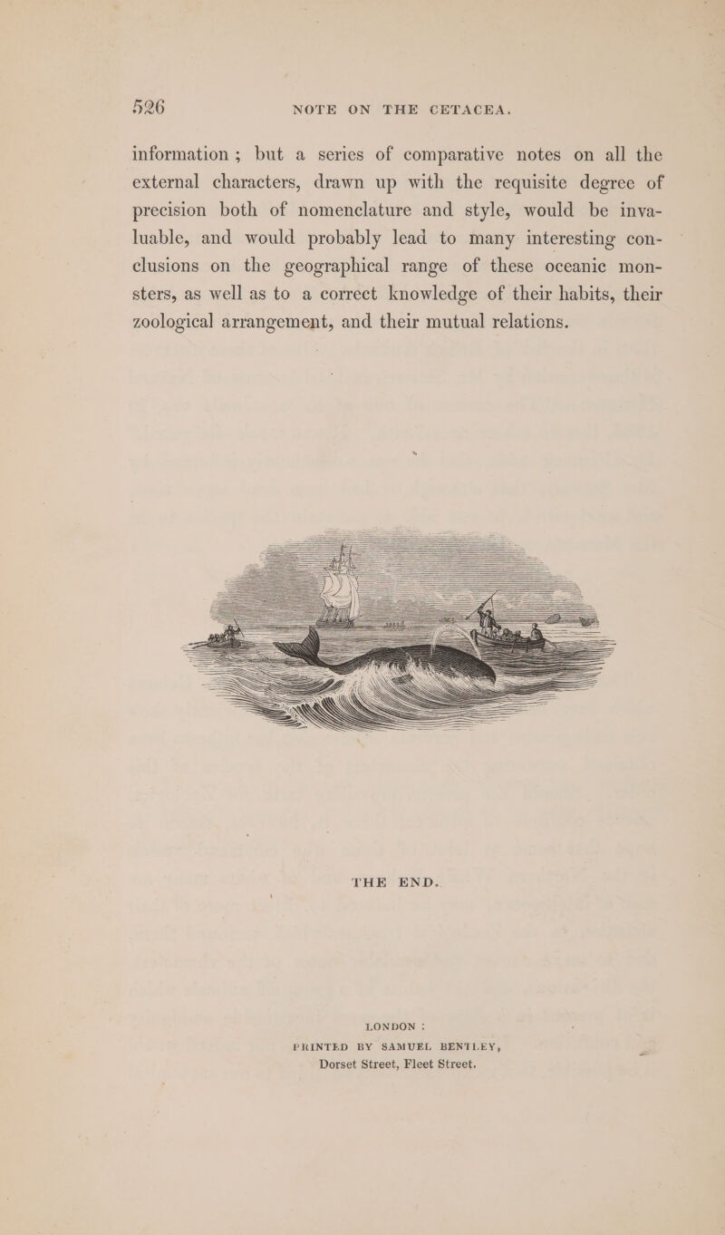 information ; but a series of comparative notes on all the external characters, drawn up with the requisite degree of precision both of nomenclature and style, would be inva- luable, and would probably lead to many interesting con- clusions on the geographical range of these oceanic mon- sters, as well as to a correct knowledge of their habits, their zoological arrangement, and their mutual relations. LONDON : PRINTED BY SAMUEL BENTLEY, Dorset Street, Fleet Street,