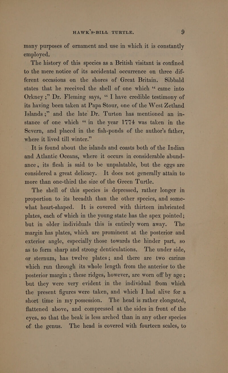 many purposes of ornament and use in which it is constantly employed. The history of this species as a British visitant is confined to the mere notice of its accidental occurrence on three dif- ferent occasions on the shores of Great Britain. Sibbald states that he received the shell of one which ‘* came into Orkney ;” Dr. Fleming says, “ I have credible testimony of its having been taken at Papa Stour, one of the West Zetland Islands ;” and the late Dr. Turton has mentioned an in- stance of one which ‘‘in the year 1774 was taken in the Severn, and placed in the fish-ponds of the author’s father, where it lived till winter.” It is found about the islands and coasts both of the Indian and Atlantic Oceans, where it occurs in considerable abund- ance, its flesh is said to be unpalatable, but the eggs are considered a great delicacy. It does not generally attain to more than one-third the size of the Green Turtle. The shell of this species is depressed, rather longer in proportion to its breadth than the other species, and some- what heart-shaped. It is covered with thirteen imbricated plates, each of which in the young state has the apex pointed; but in older individuals this is entirely worn away. The margin has plates, which are prominent at the posterior and exterior angle, especially those towards the hinder part, so as to form sharp and strong denticulations. The under side, or sternum, has twelve plates; and there are two carine which run through its whole length from the anterior to the posterior margin ; these ridges, however, are worn off by age ; but they were very evident in the individual from which the present figures were taken, and which I had alive for a short time in my possession. The head is rather elongated, flattened above, and compressed at the sides in front of the eyes, so that the beak is less arched than in any other species of the genus. The head is covered with fourteen scales, to