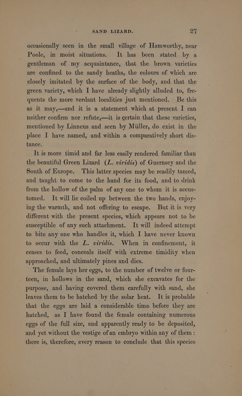 occasionally seen in the small village of Hamworthy, near Poole, in moist situations. It has been stated by a gentleman of my acquaintance, that the brown varieties are confined to the sandy heaths, the colours of which are closely imitated by the surface of the body, and that the green variety, which I have already slightly alluded to, fre- quents the more verdant localities Just mentioned. Be this as it may,—and it is a statement which at present I can neither confirm nor refute,—it is certain that these varieties, mentioned by Linneus and seen by Miiller, do exist in the place I have named, and within a comparatively short dis- tance. It is more timid and far less easily rendered familiar than the beautiful Green Lizard (L. viridis) of Guernsey and the South of Hurope. This latter species may be readily tamed, and taught to come to the hand for its food, and to drink from the hollow of the palm of any one to whom it is accus- tomed. It will lie coiled up between the two hands, enjoy- ing the warmth, and not offering to escape. But it is very different with the present species, which appears not to be susceptible of any such attachment. It will indeed attempt to bite any one who handles it, which I have never known to occur with the ZL. virtdis. When in confinement, it ceases to feed, conceals itself with extreme timidity when approached, and ultimately pines and dies. The female lays her eggs, to the number of twelve or four- teen, in hollows in the sand, which she excavates for the purpose, and having covered them carefully with sand, she leaves them to be hatched by the solar heat. It is probable that the eggs are laid a considerable time before they are hatched, as I have found the female containing numerous egos of the full size, and apparently ready to be deposited, and yet without the vestige ofan embryo within any of them : there is, therefore, every reason to conclude that this species